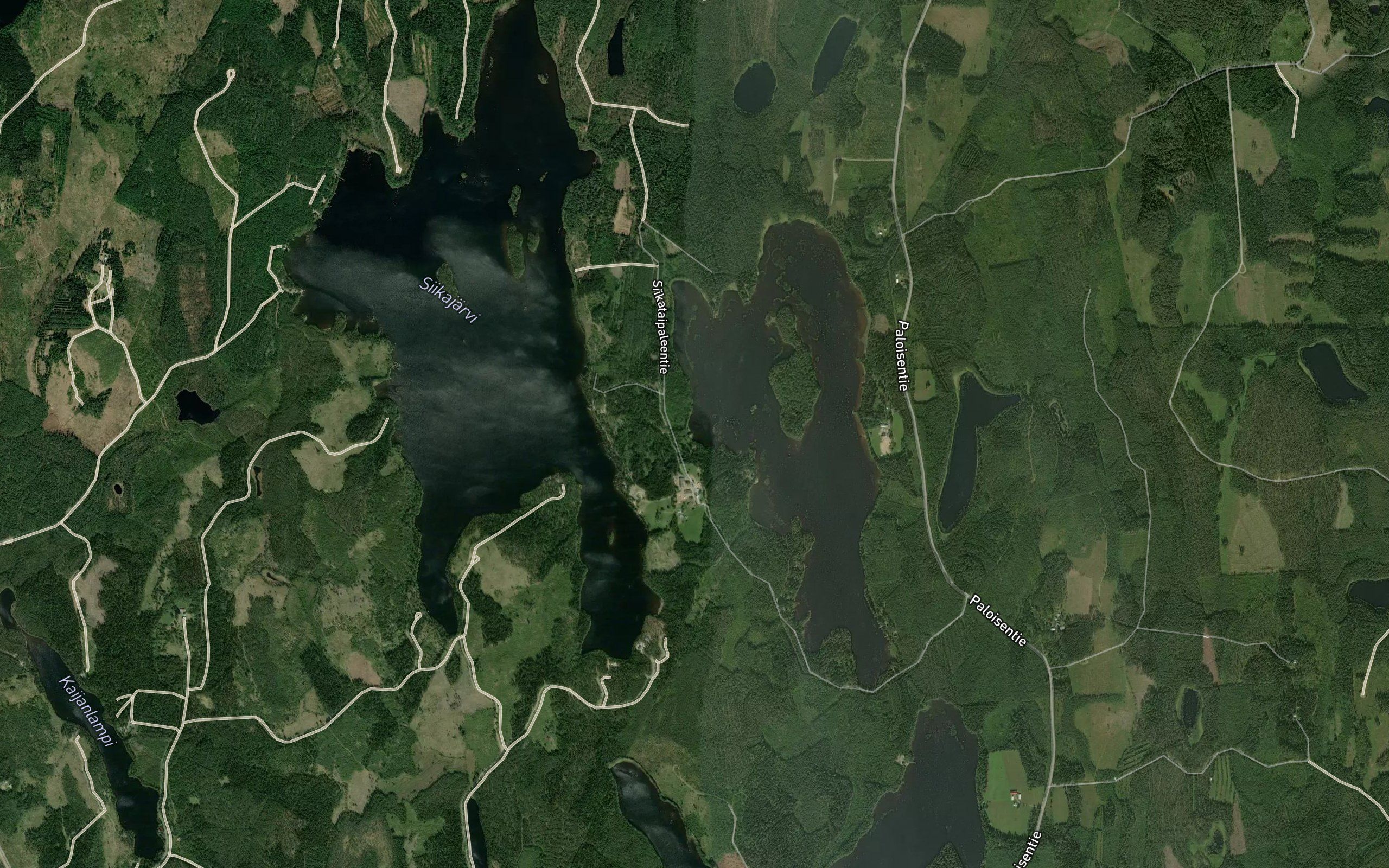 Siikajoki