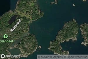 Bysfladan