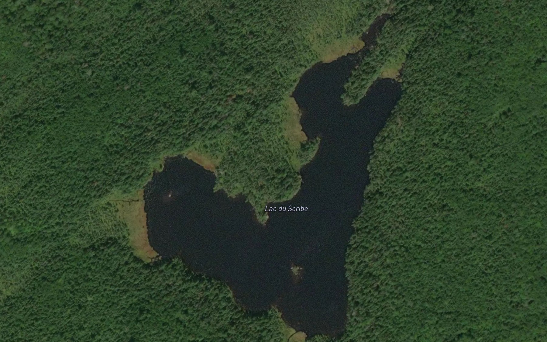 Satellite map of the Lac du Scribe
