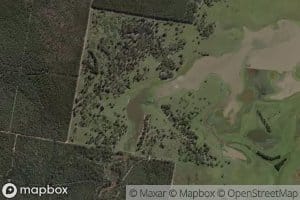 The Black Waterholes