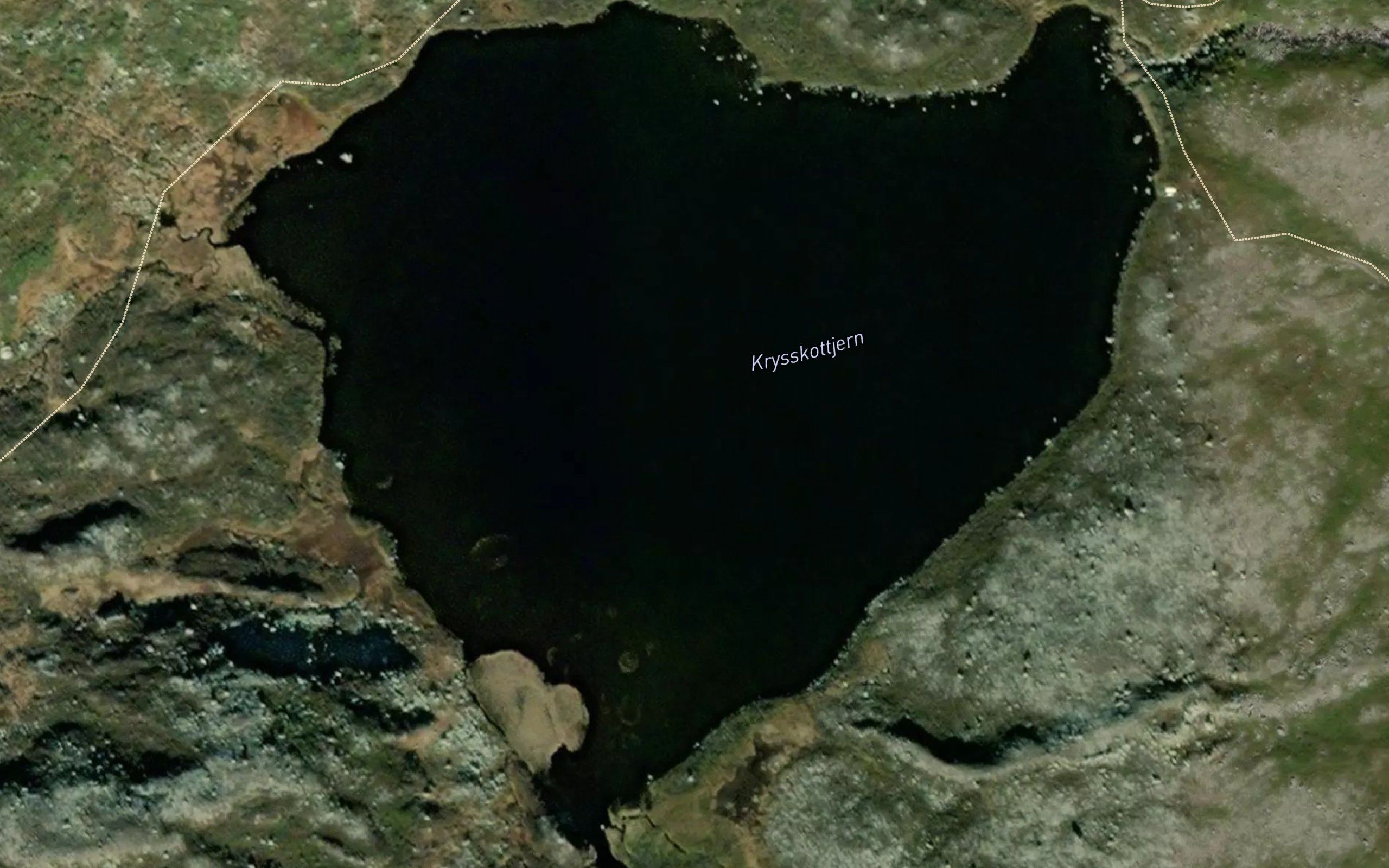 Krysskottjern