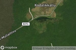 Kodalikulam