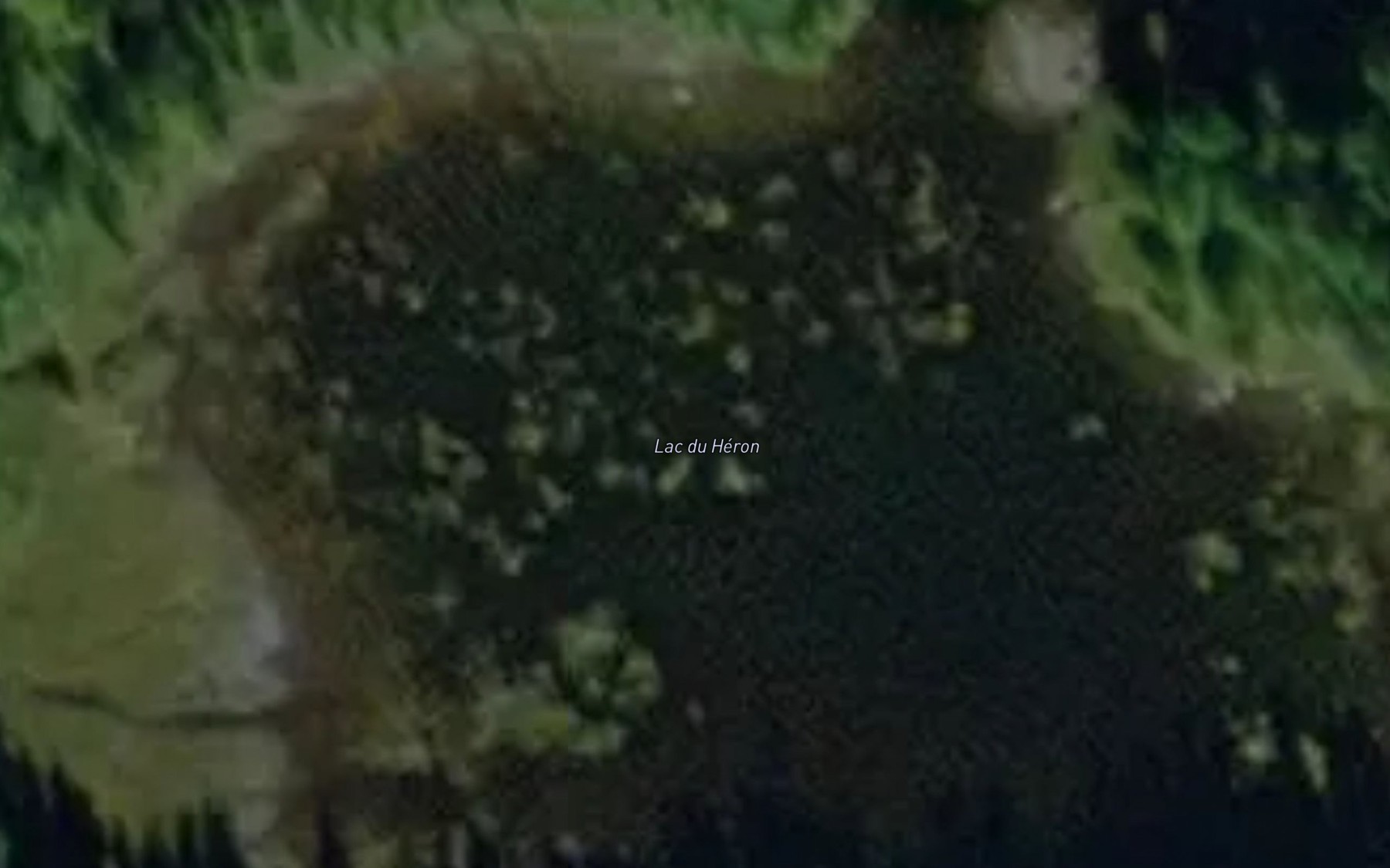 Satellite map of the Lac du Heron