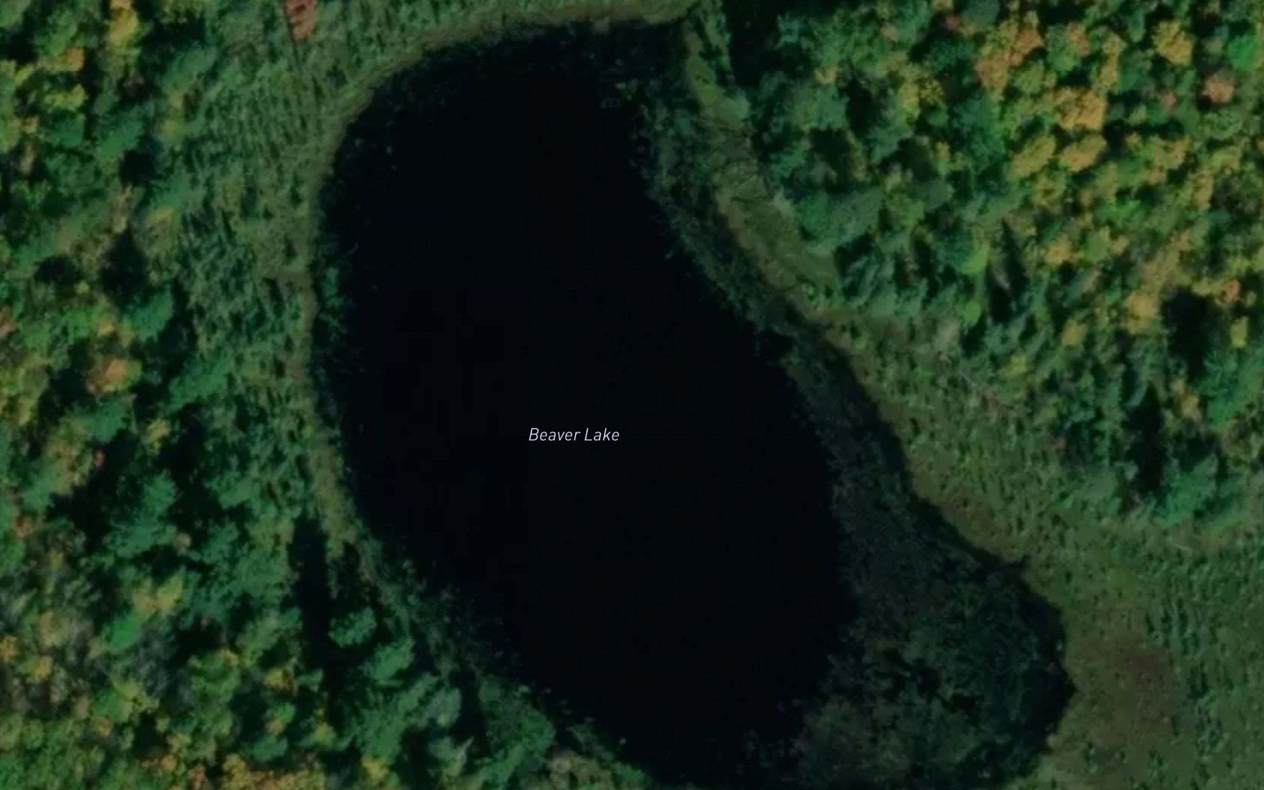 Beaver Lake