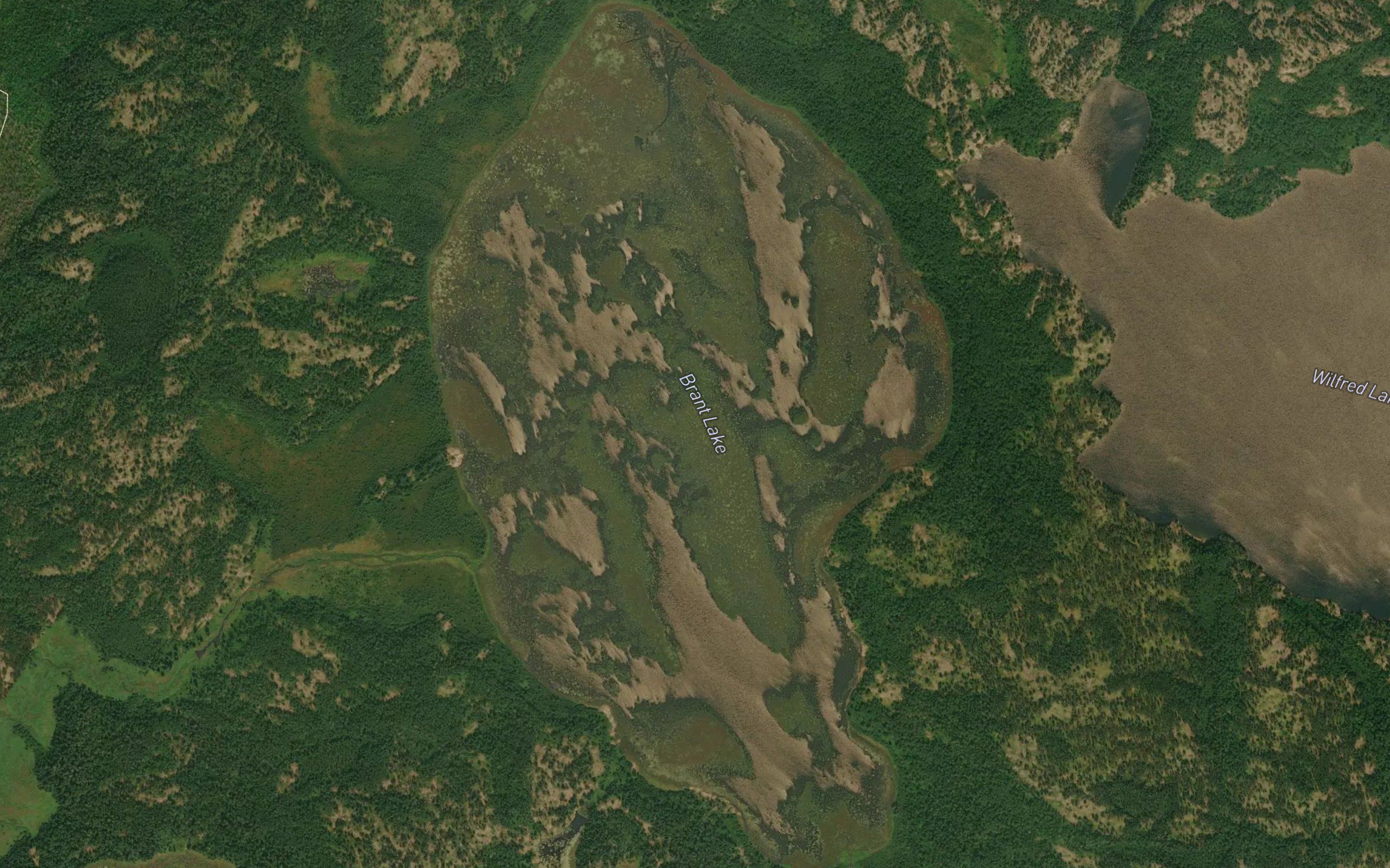 Brant Lake