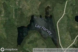 Lac Harvey