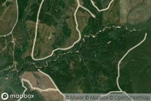 Boggy Branch