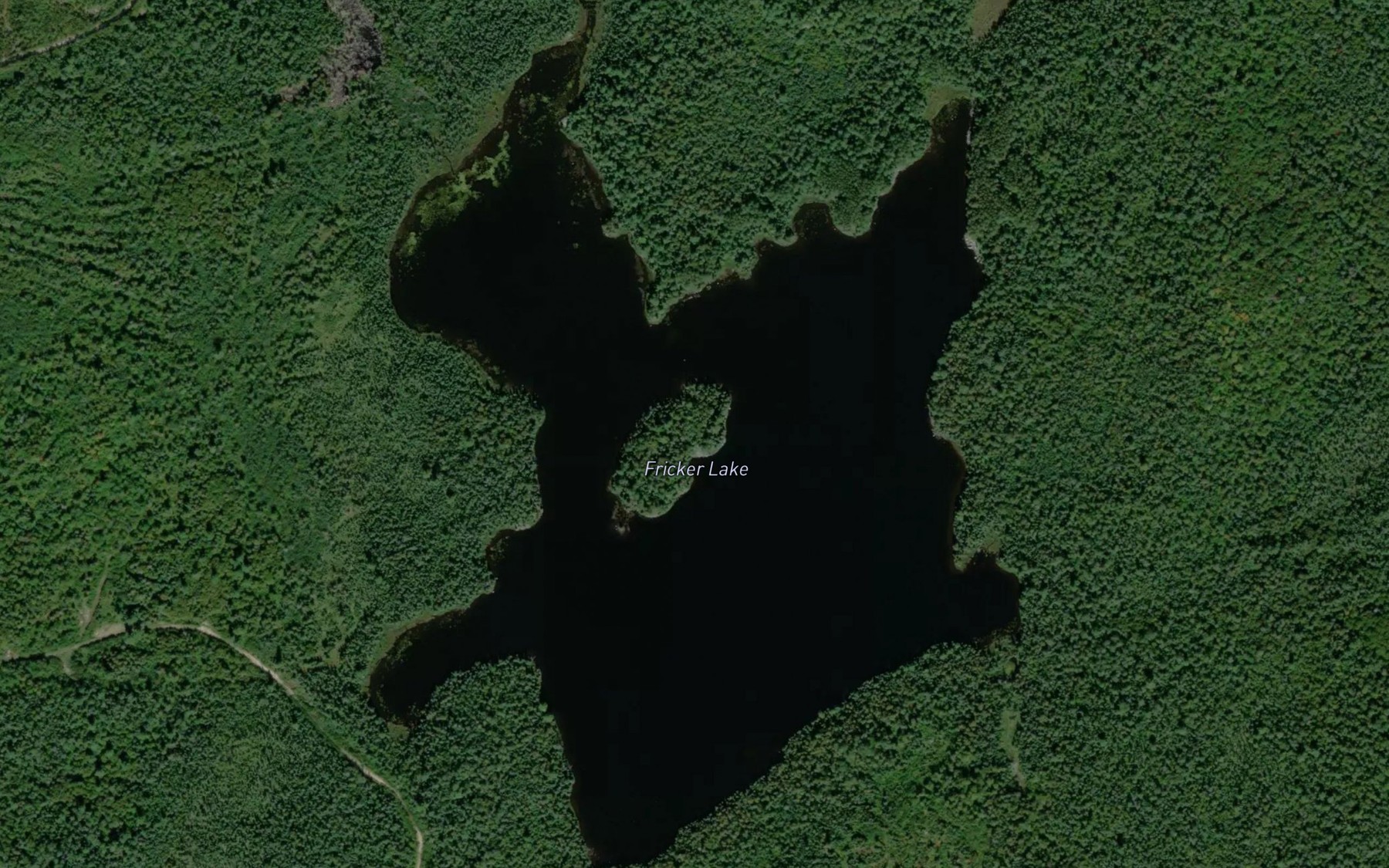 Satellite map of the Fricker Lake