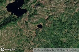 Fjellbotn