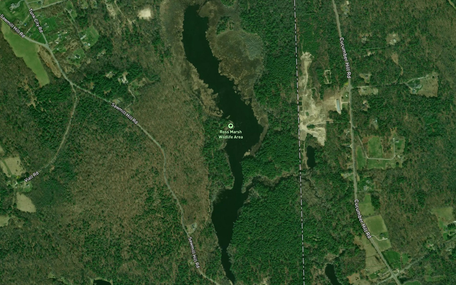 Satellite map of the Ross Management Area Pond