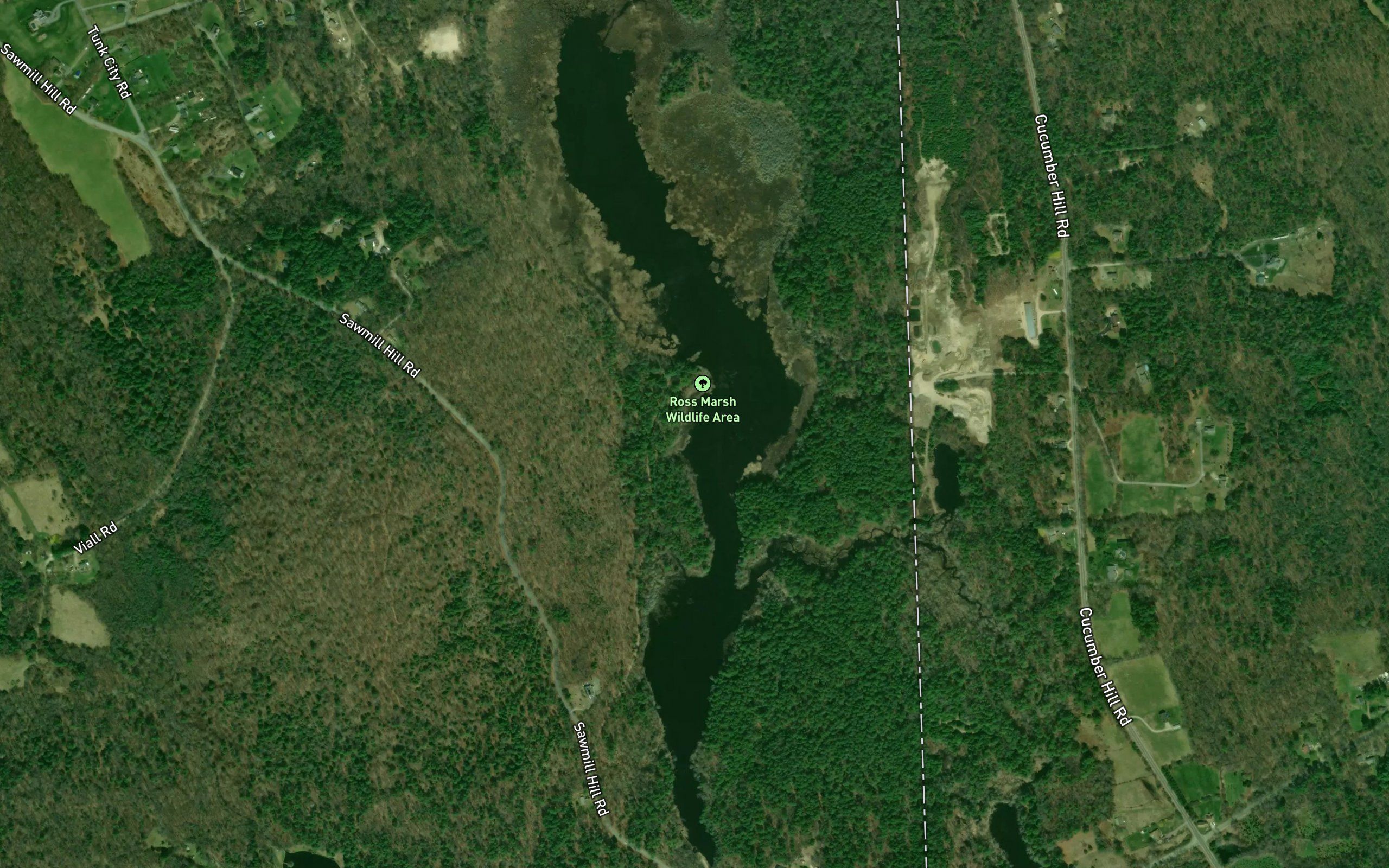 Ross Management Area Pond