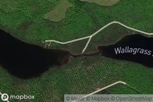 Wallagrass Lakes