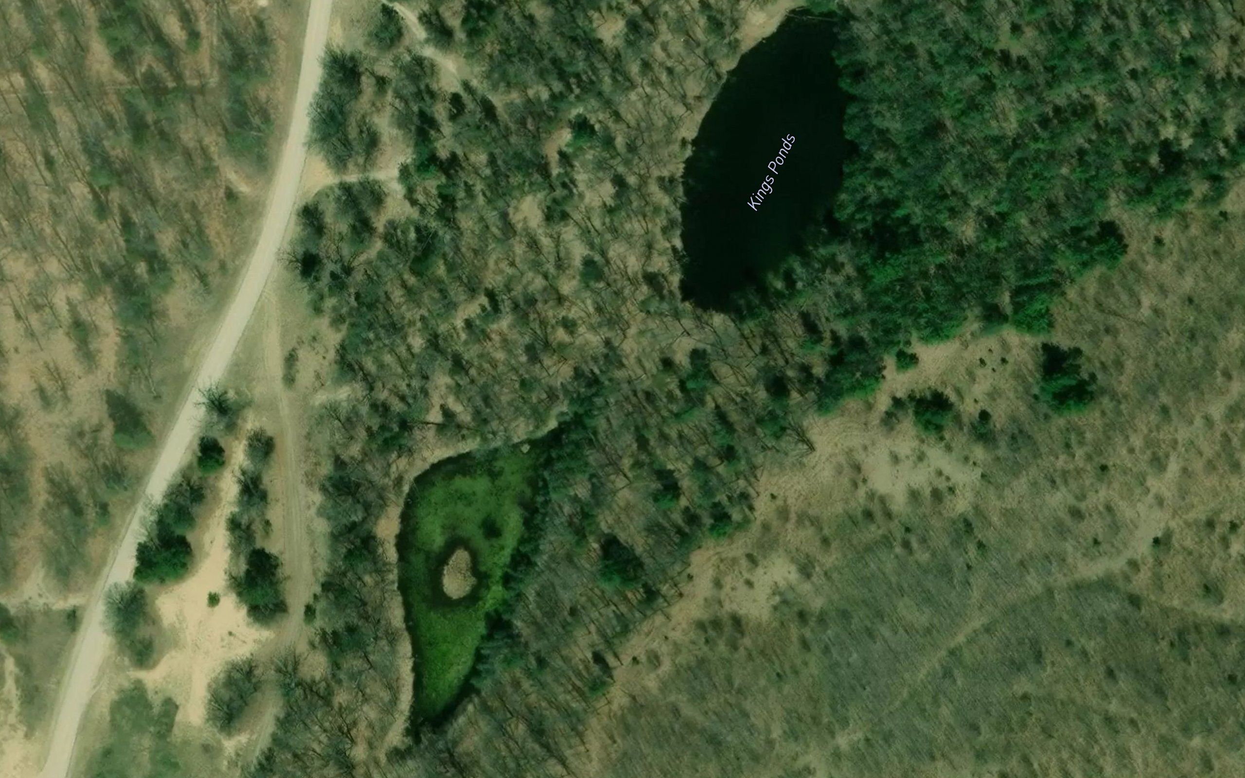 Kings Ponds
