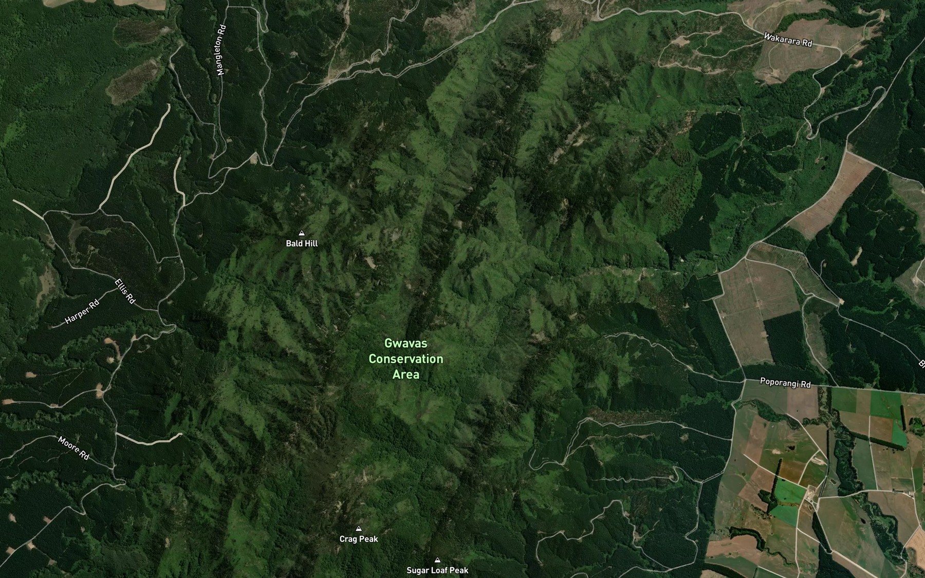 Satellite map of the Poporangi Stream