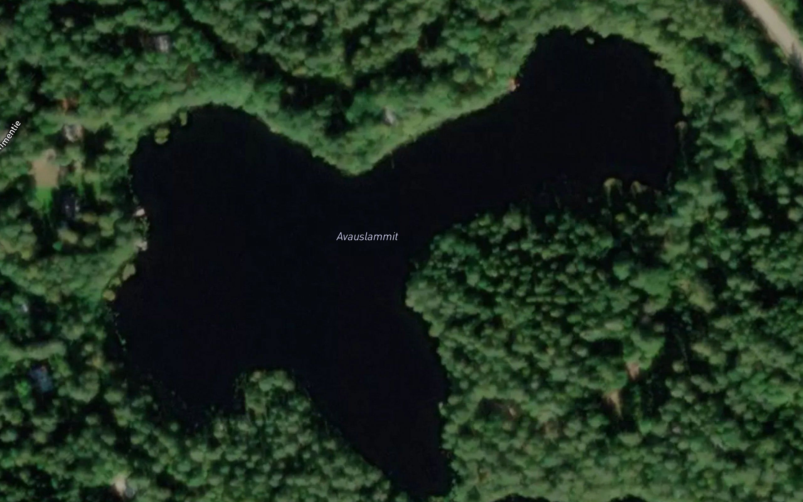 Avauslammit