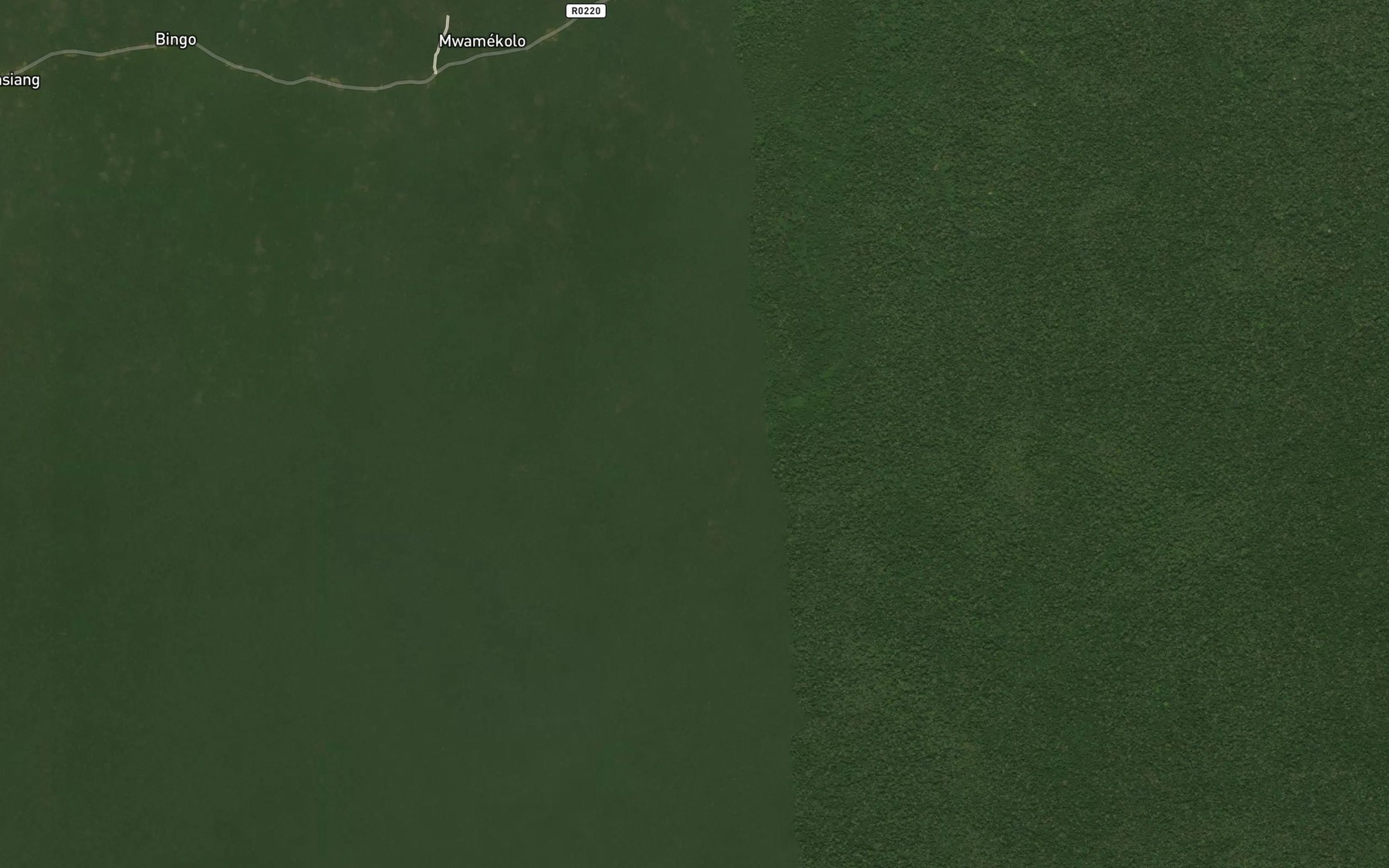 Satellite map of the Mimbong