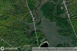 Conant Brook