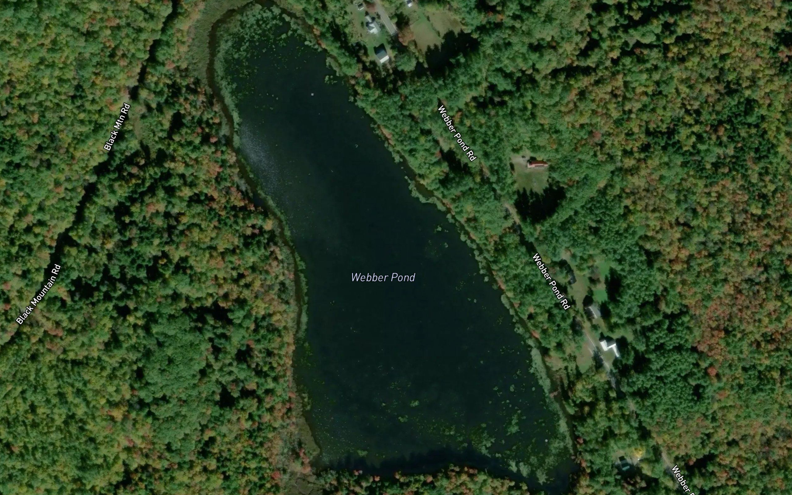 Webber Pond