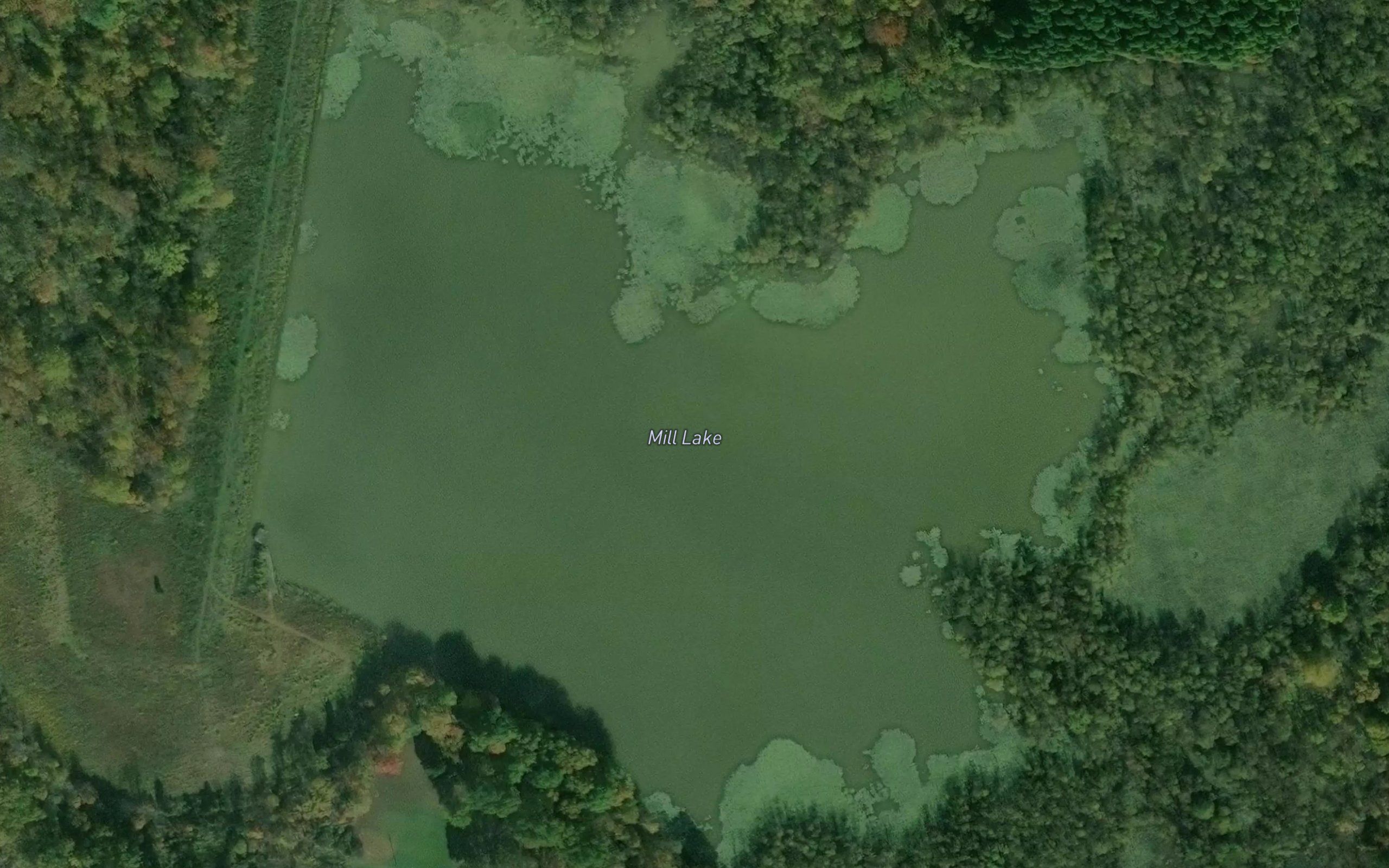 Mill Lake