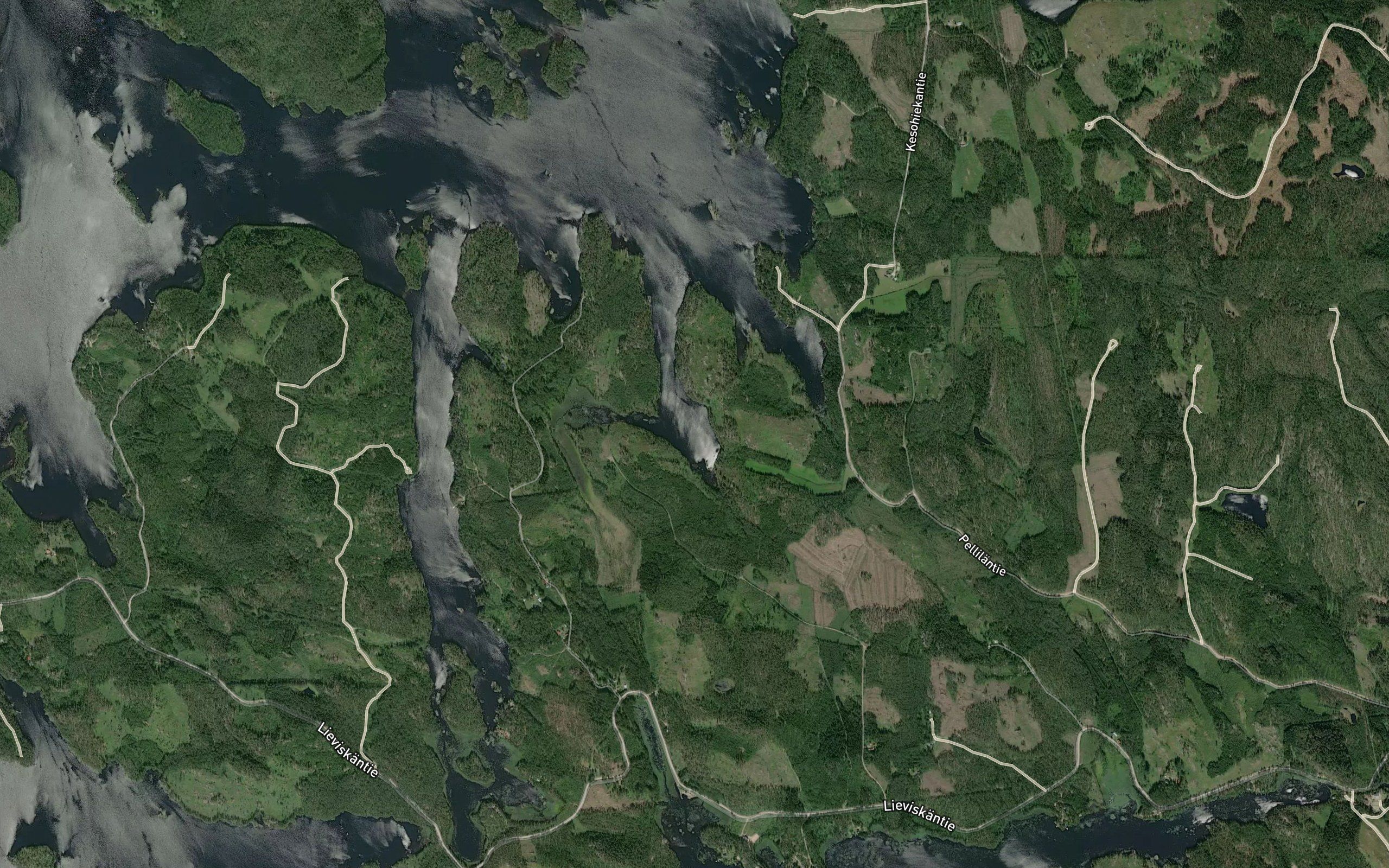 Hakolahti