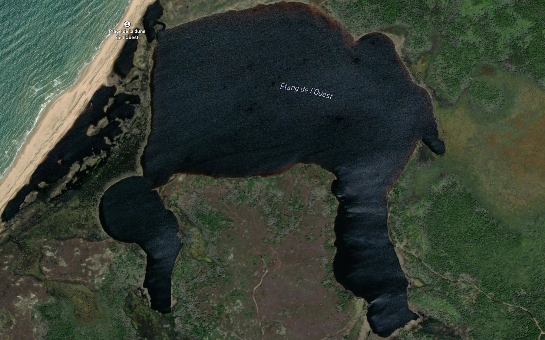 Satellite map of the Etang du Ouest