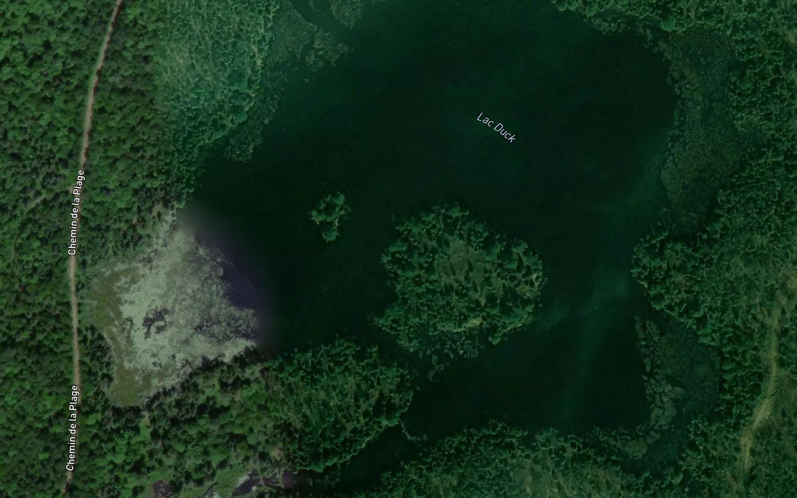 Lac Duck