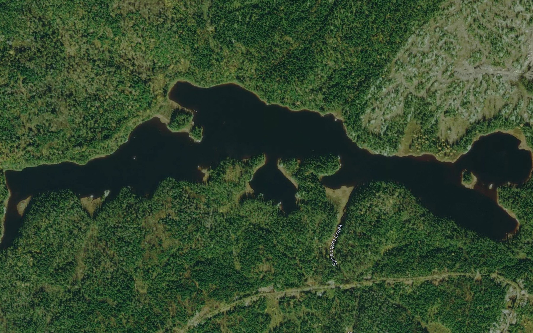 Satellite map of the Sprucegum Lake