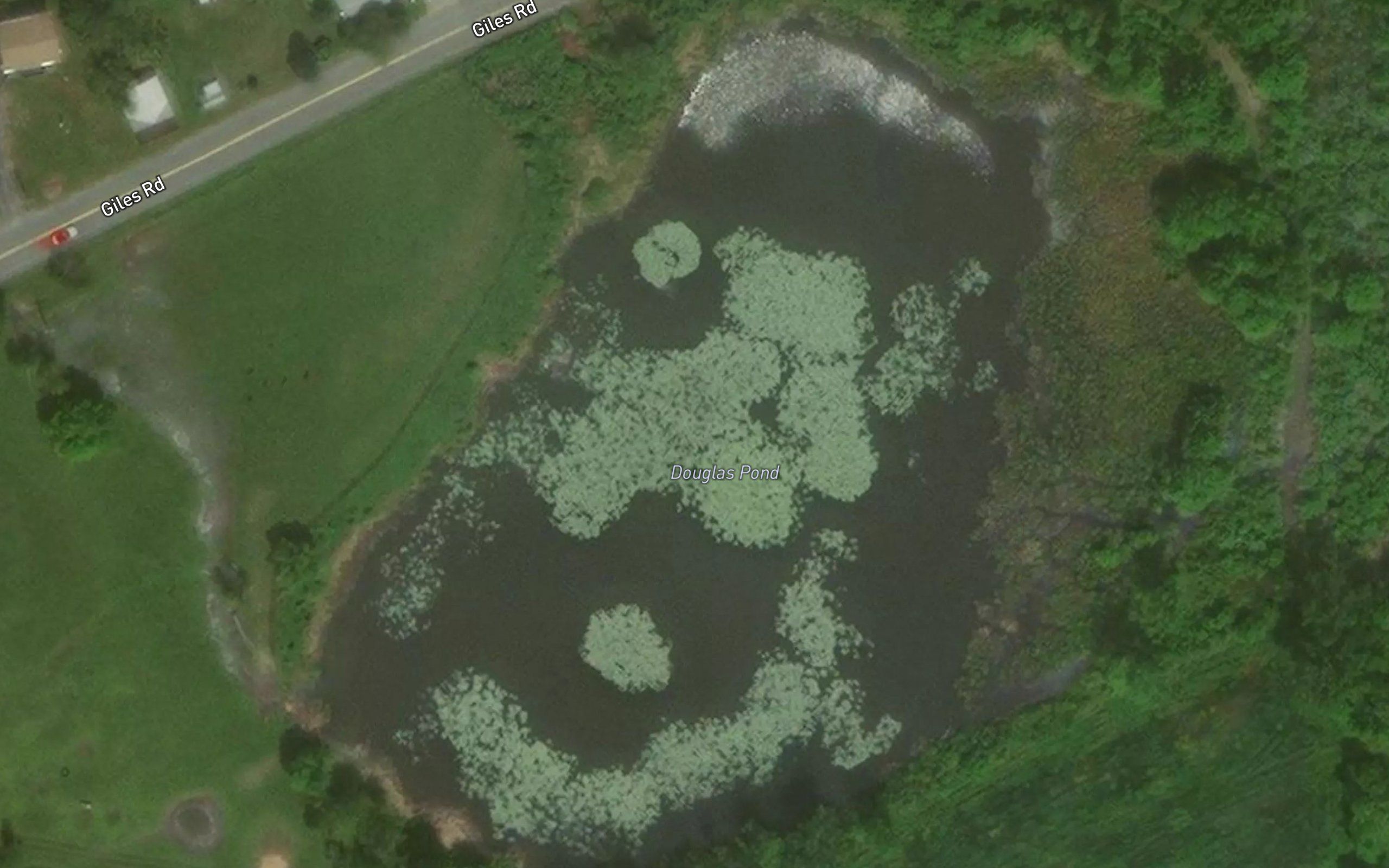 Douglas Pond