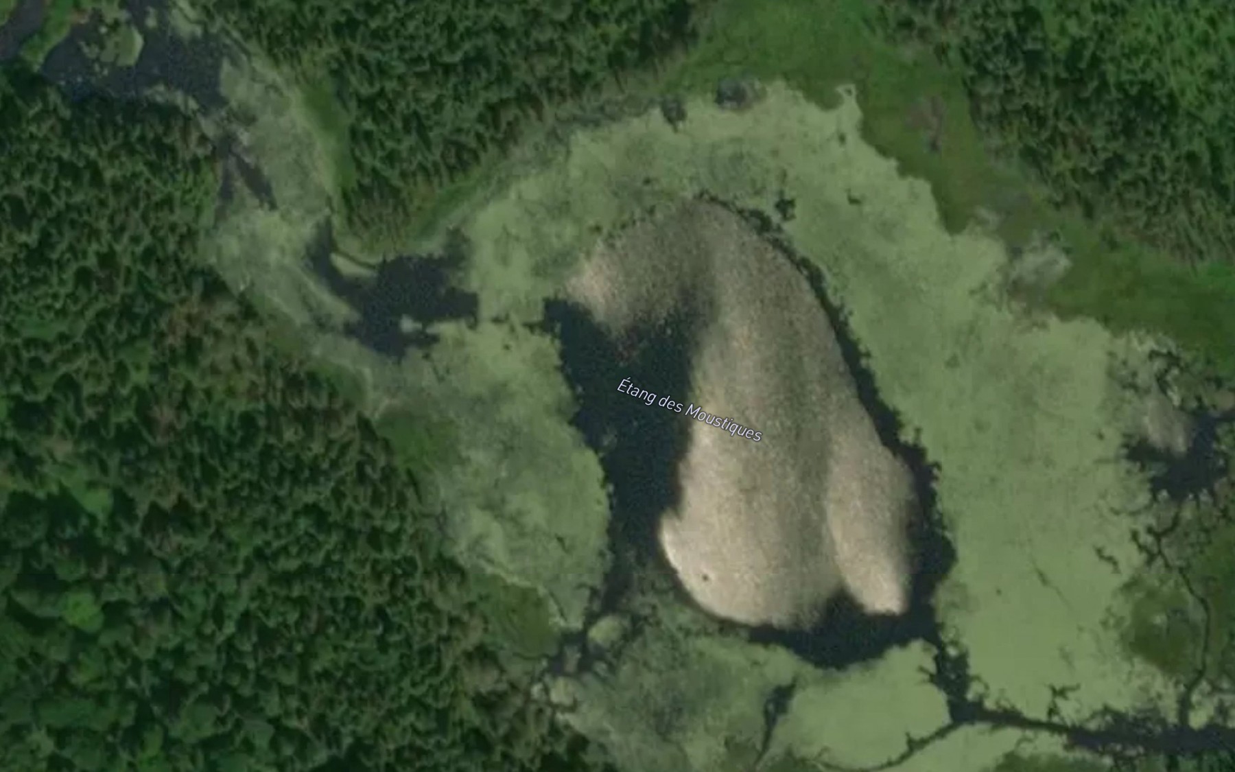 Satellite map of the Etang des Moustiques