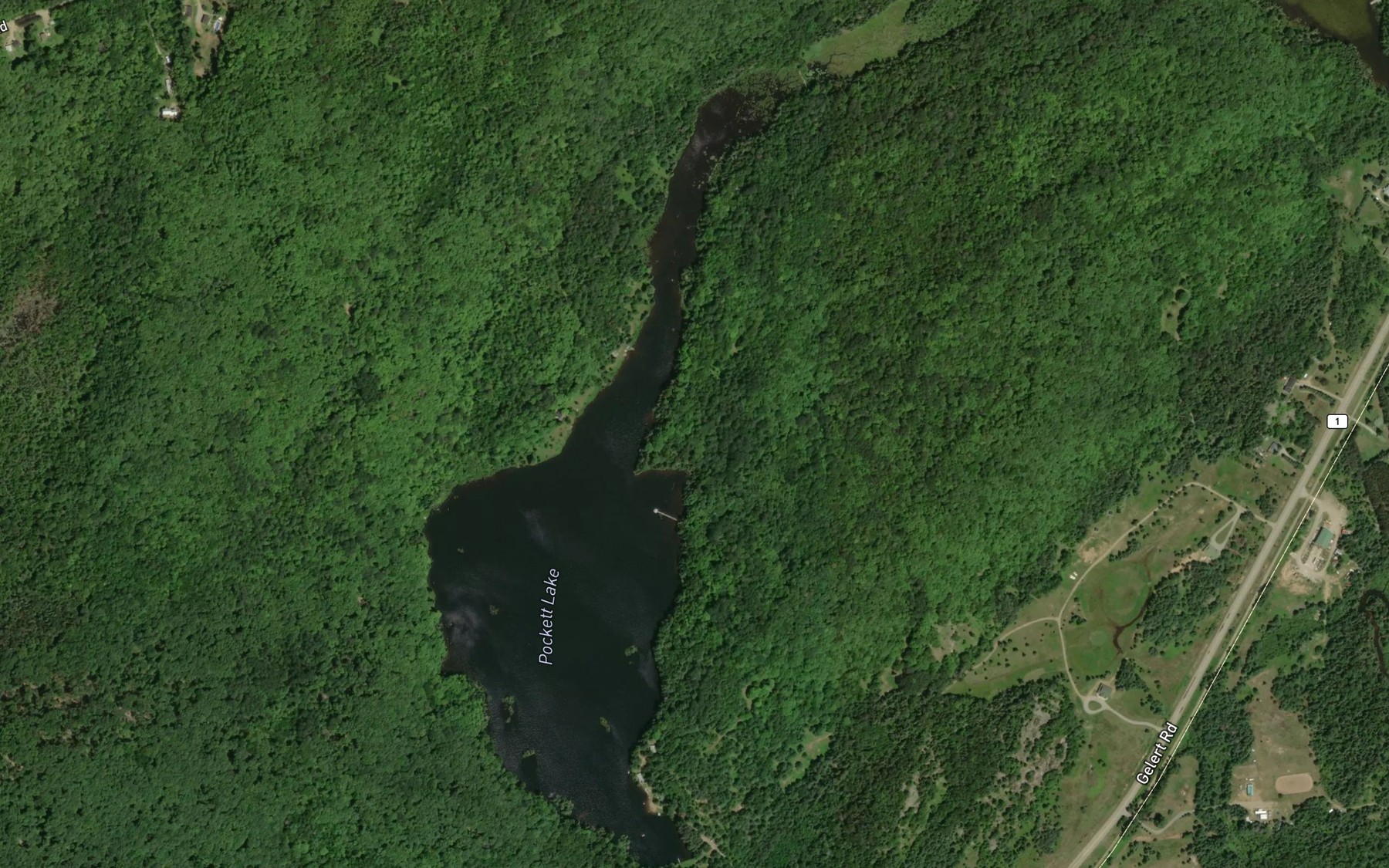 Satellite map of the Pockett Lake
