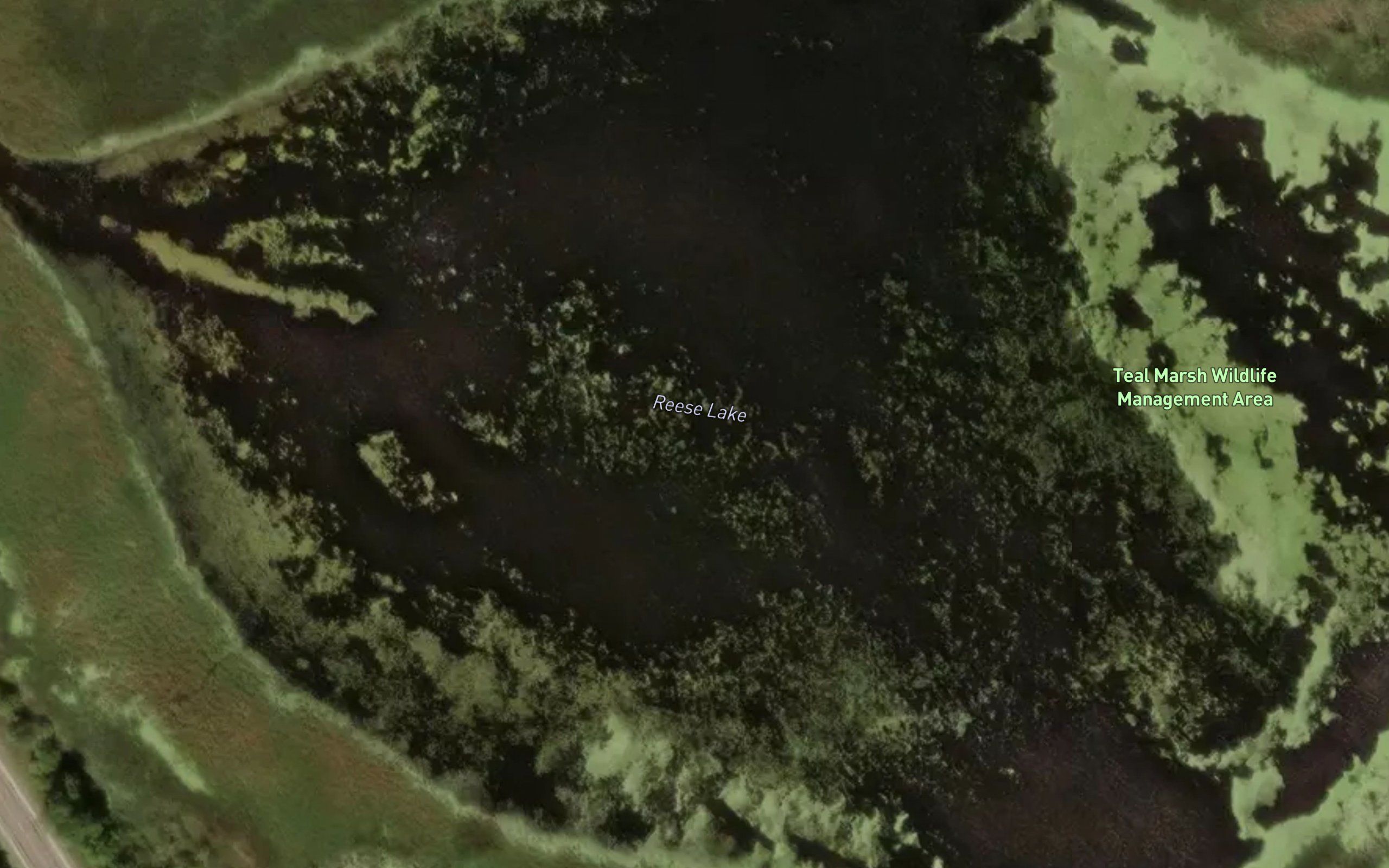 Reese Lake