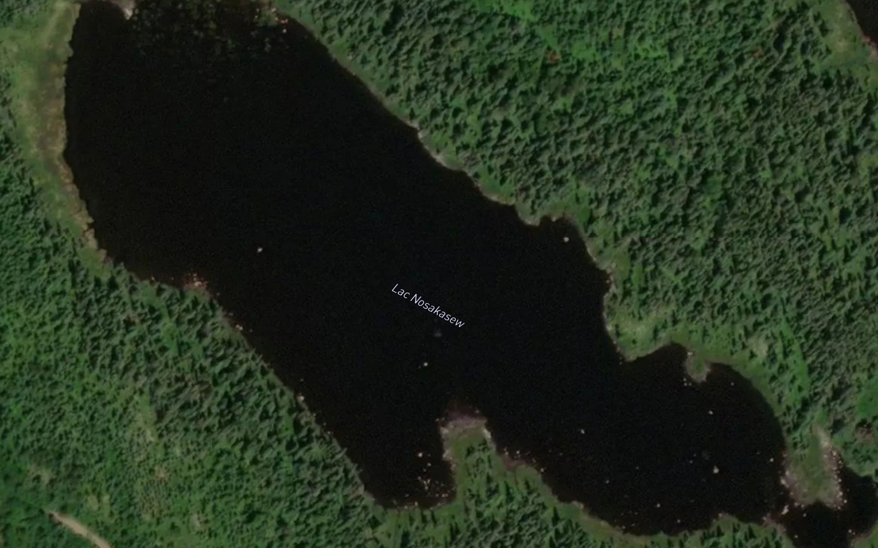 Satellite map of the Lac Nosakasew
