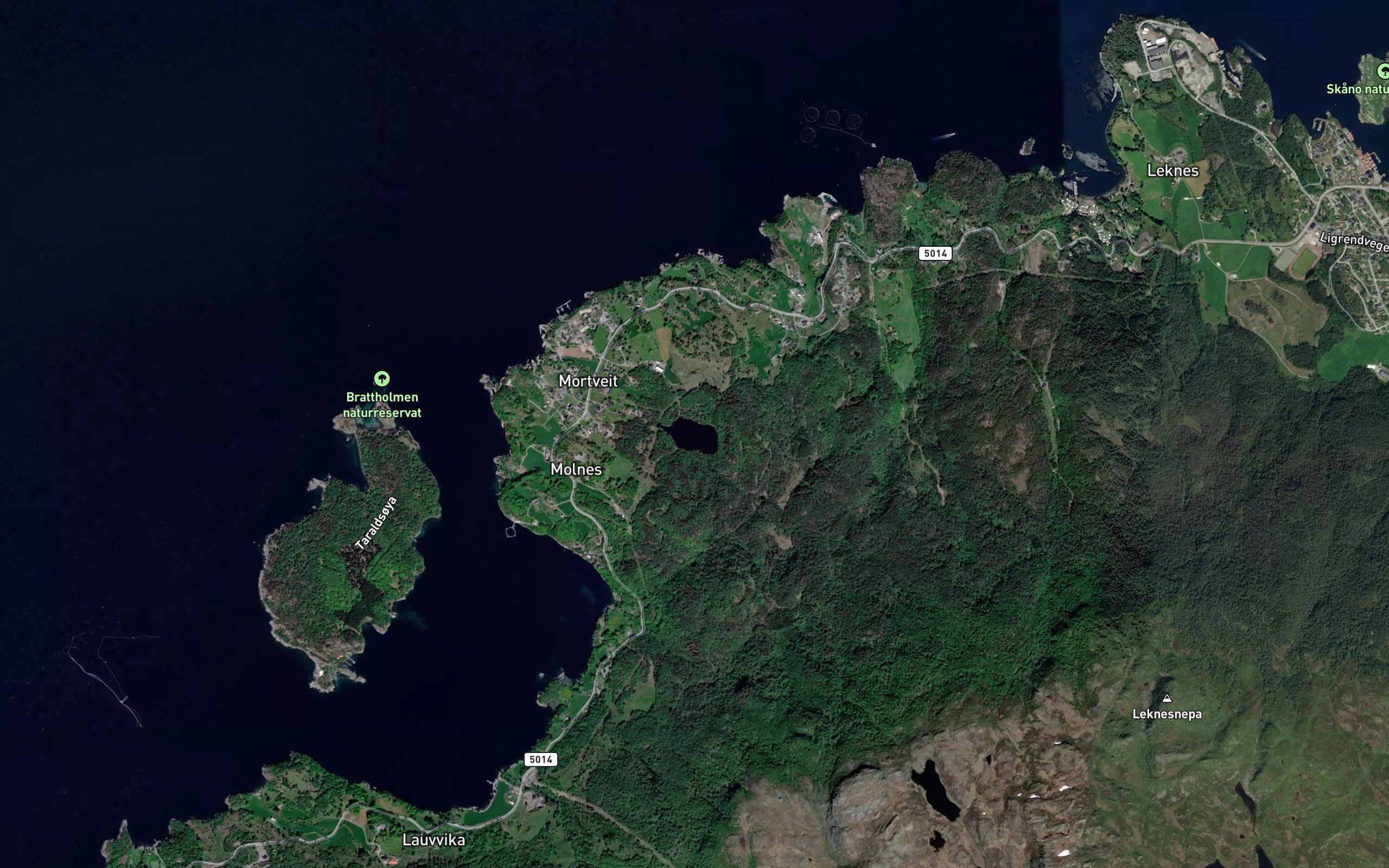 Mortveitvatnet