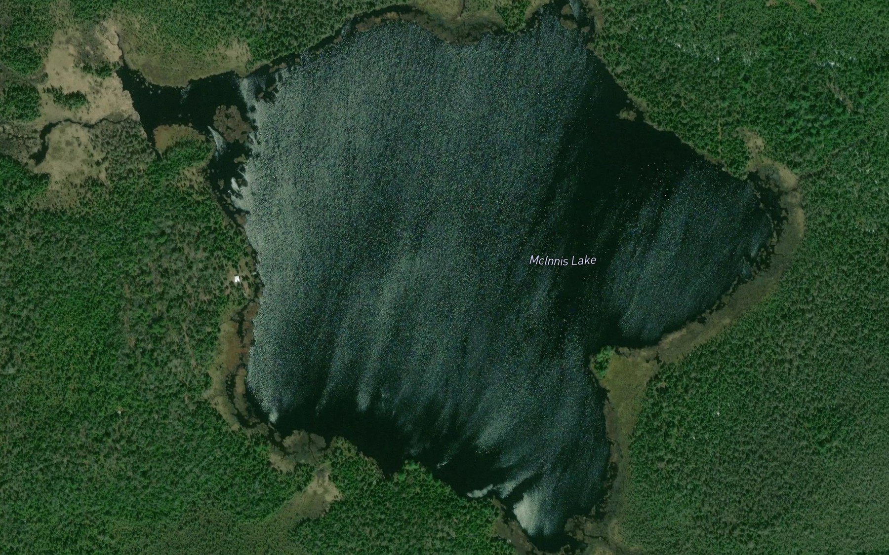 Satellite map of the McInnis Lake