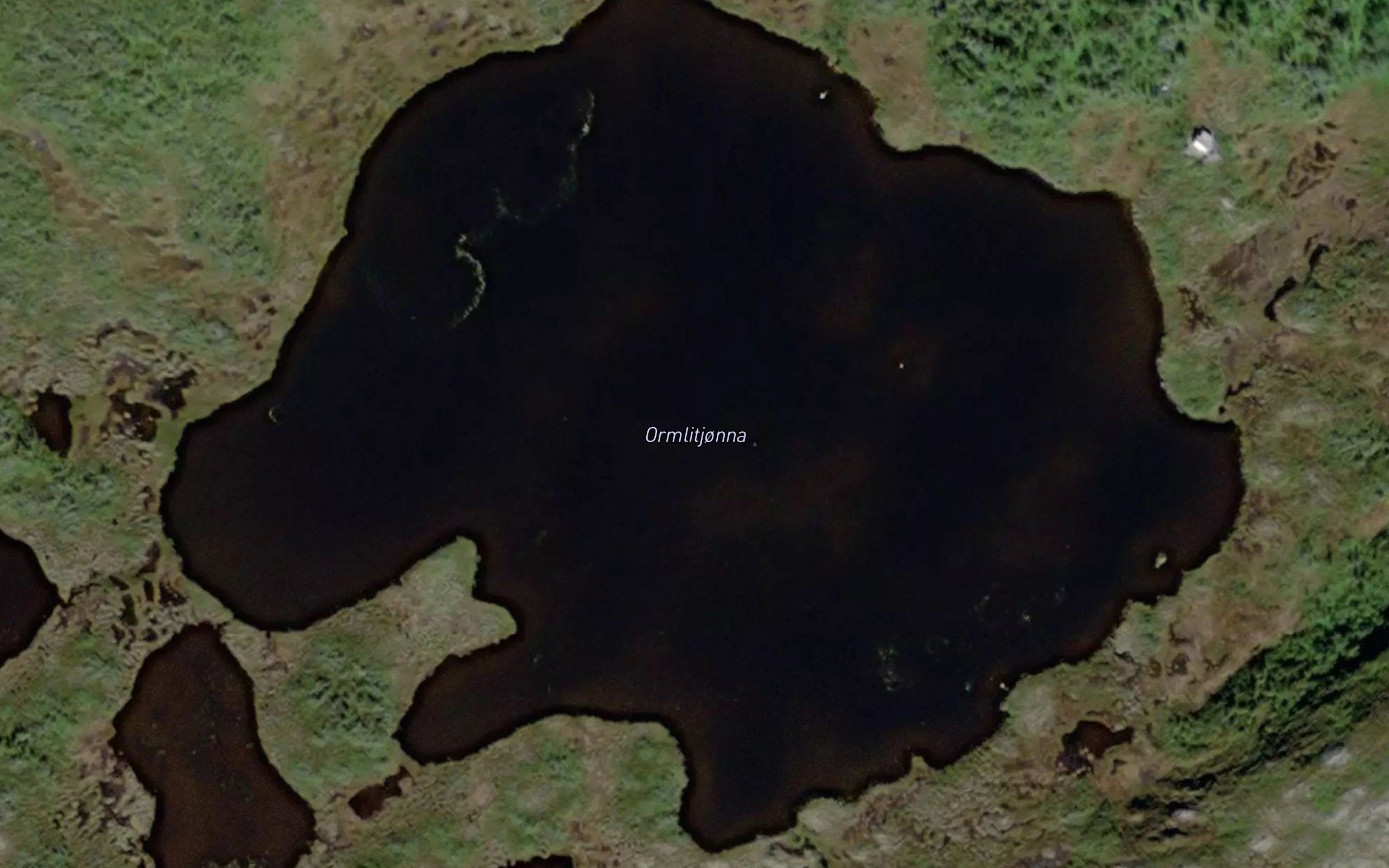 Ormlitjorna