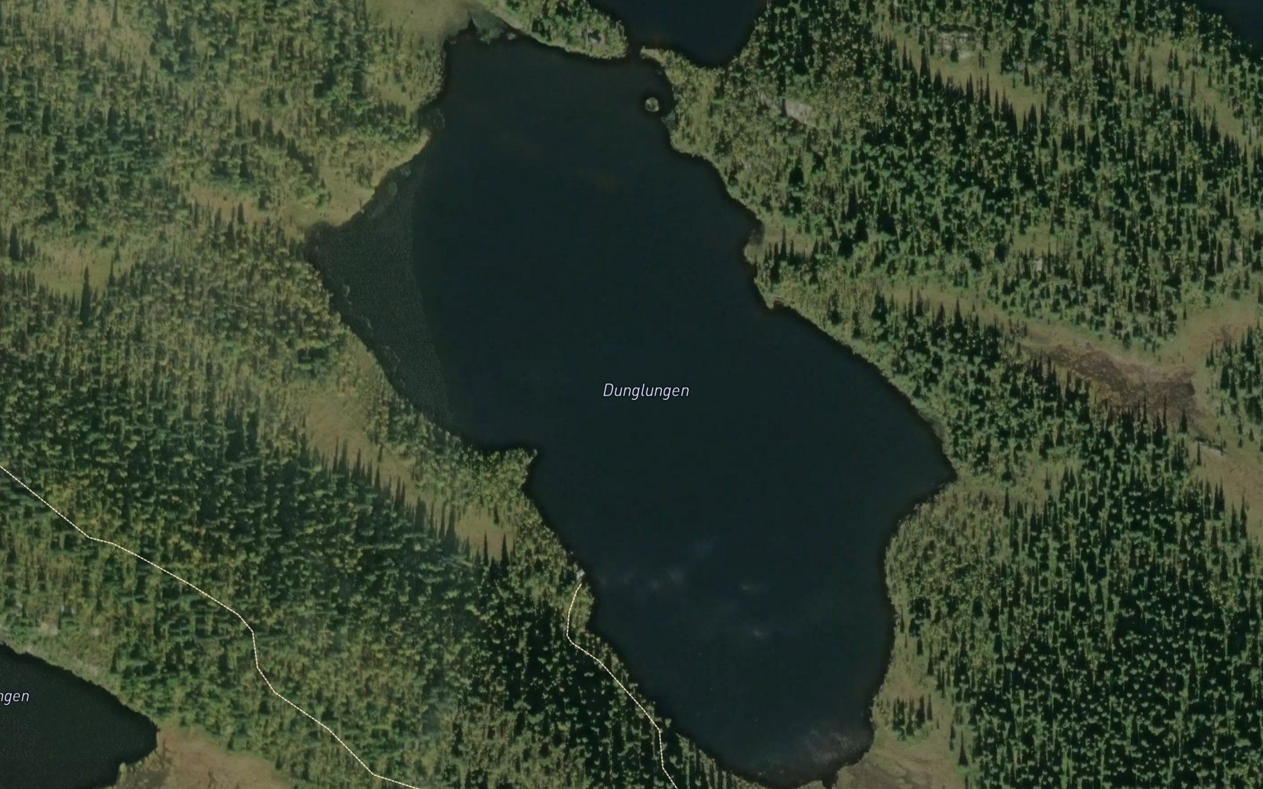 Dunglungen