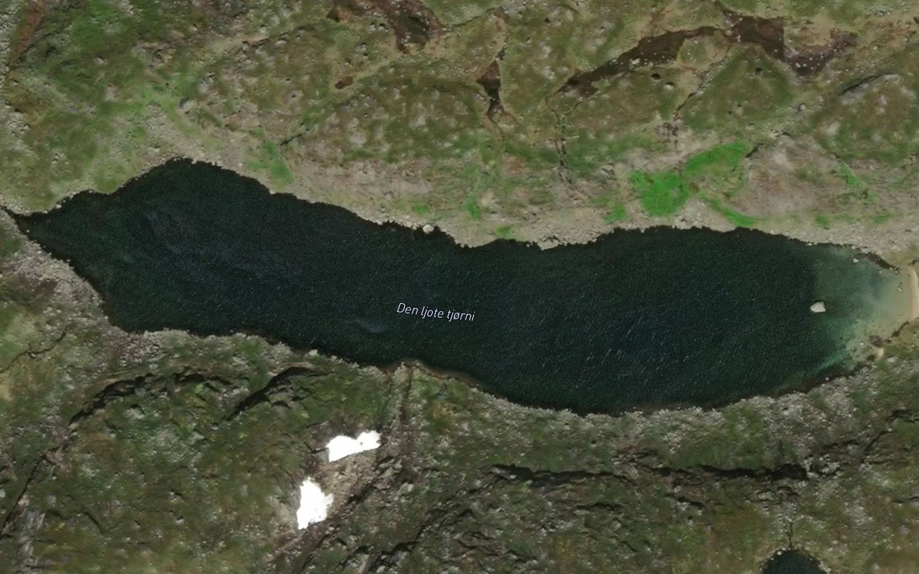 Satellite map of the Den ljote tjorni