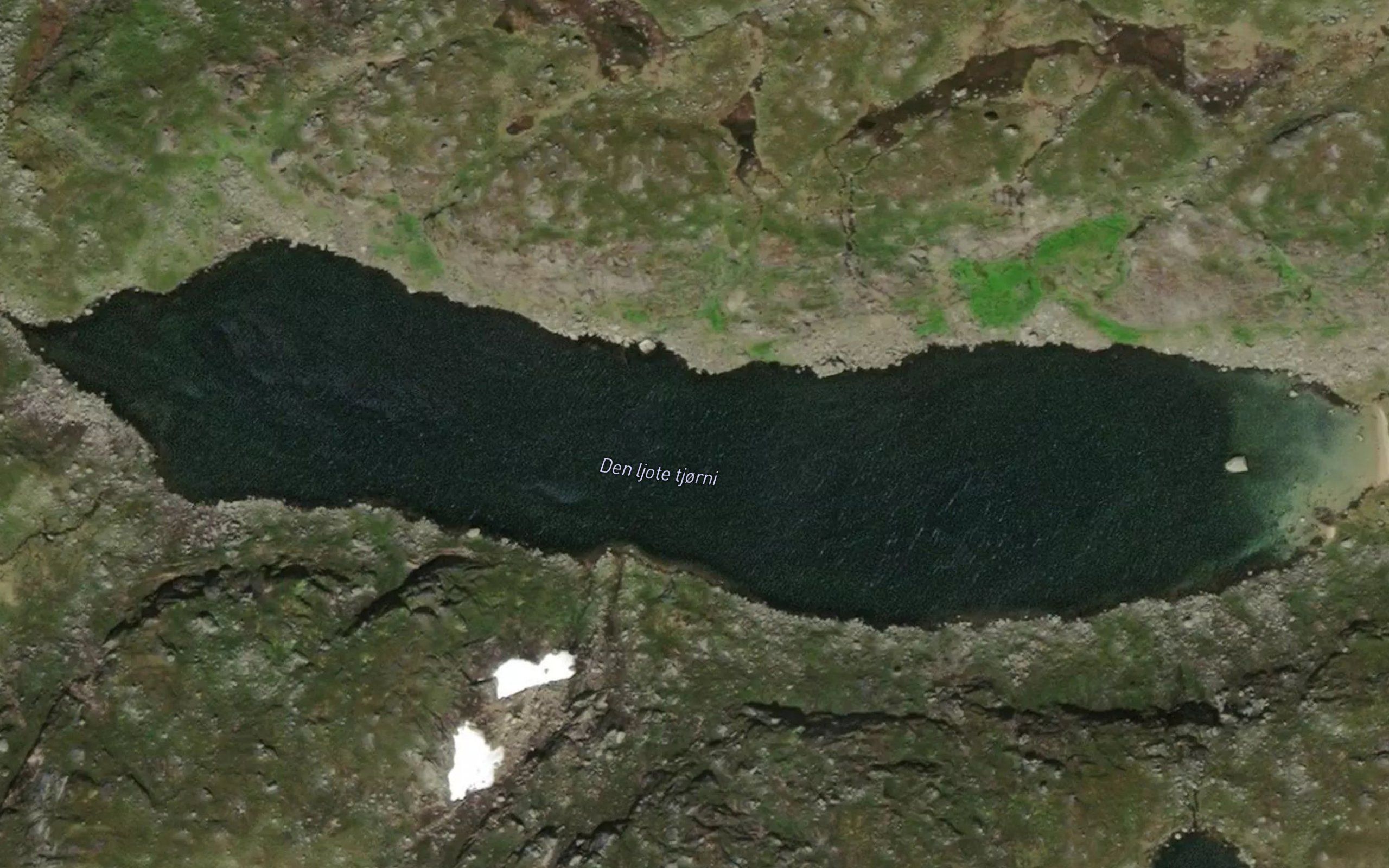 Den ljote tjorni