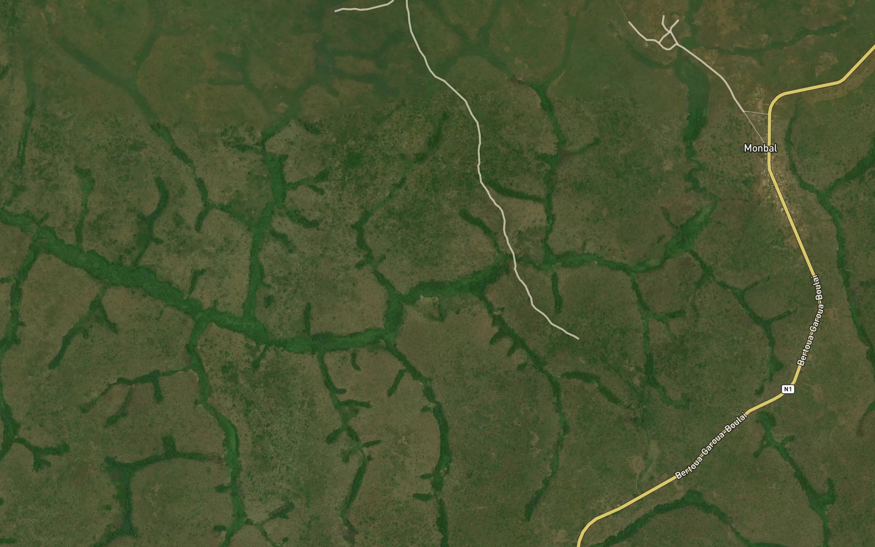Satellite map of the Gandoro