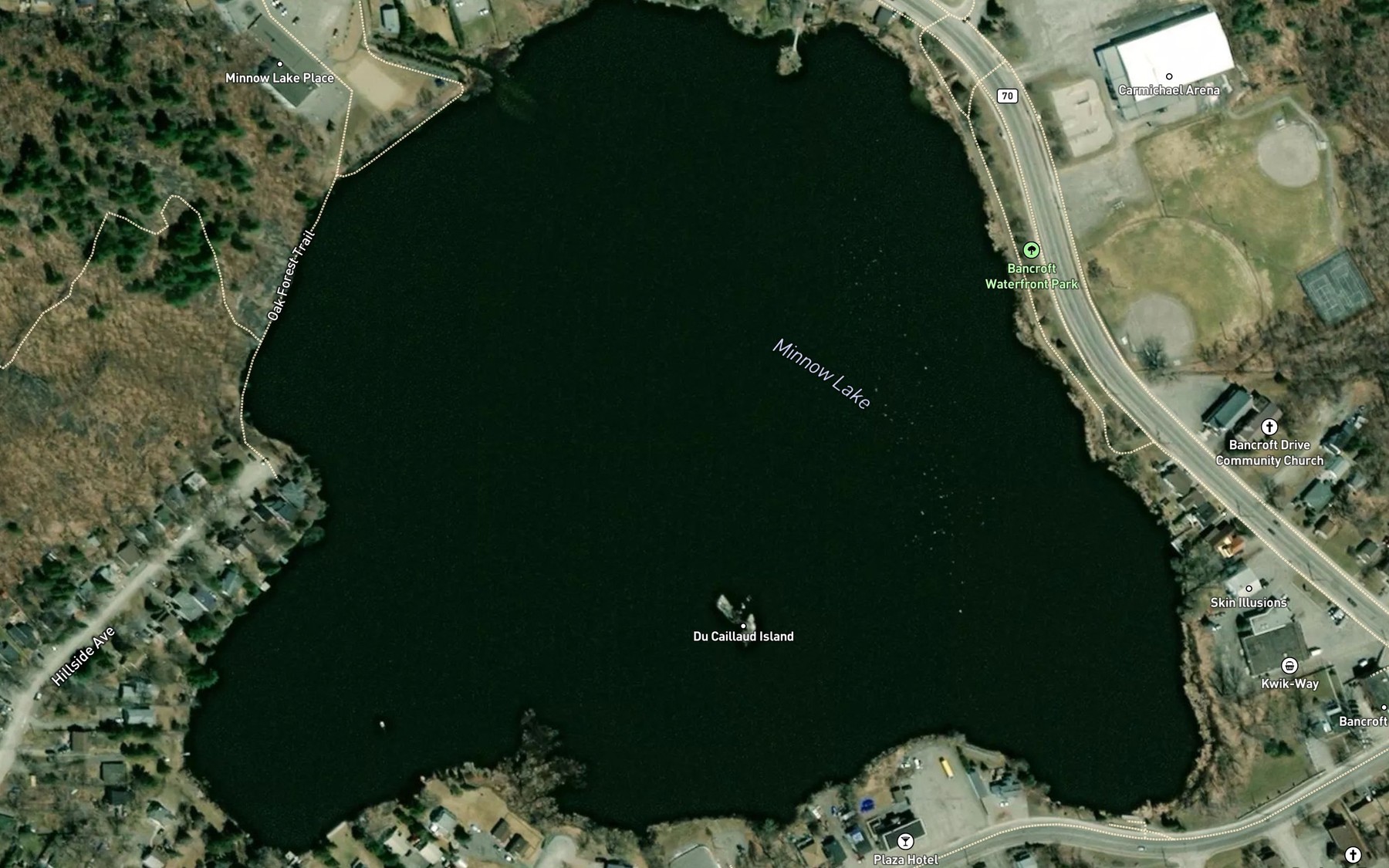 Satellite map of the Minnow Lake