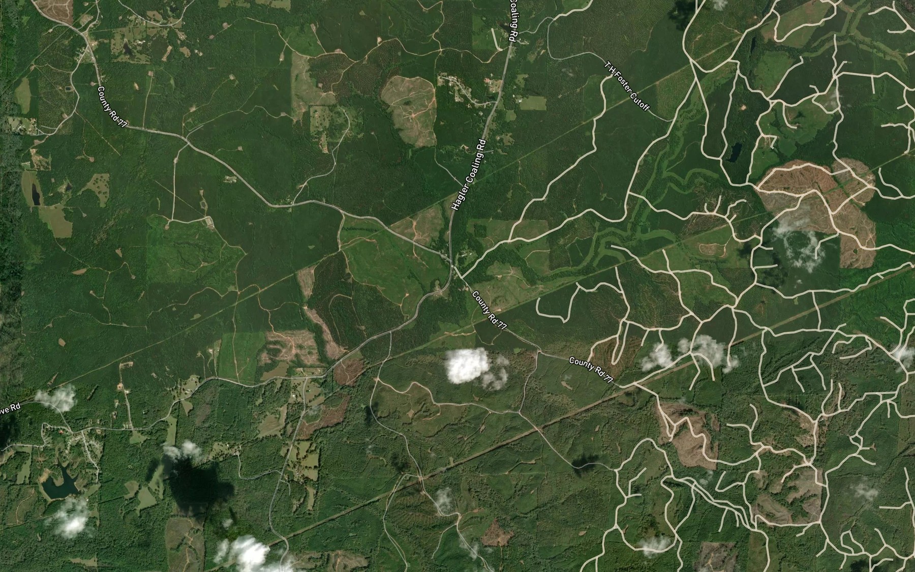 Satellite map of the Long Branch