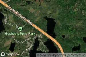 Gushues Pond