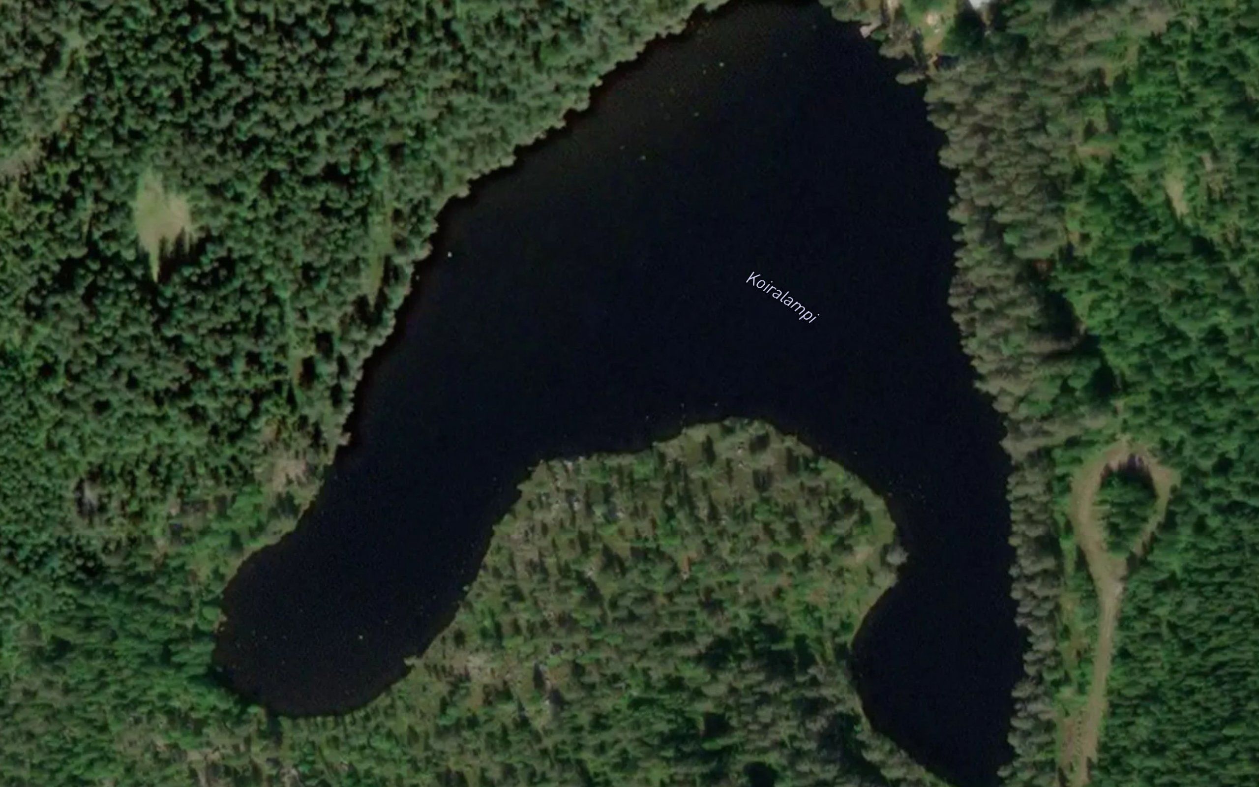 Koiralampi