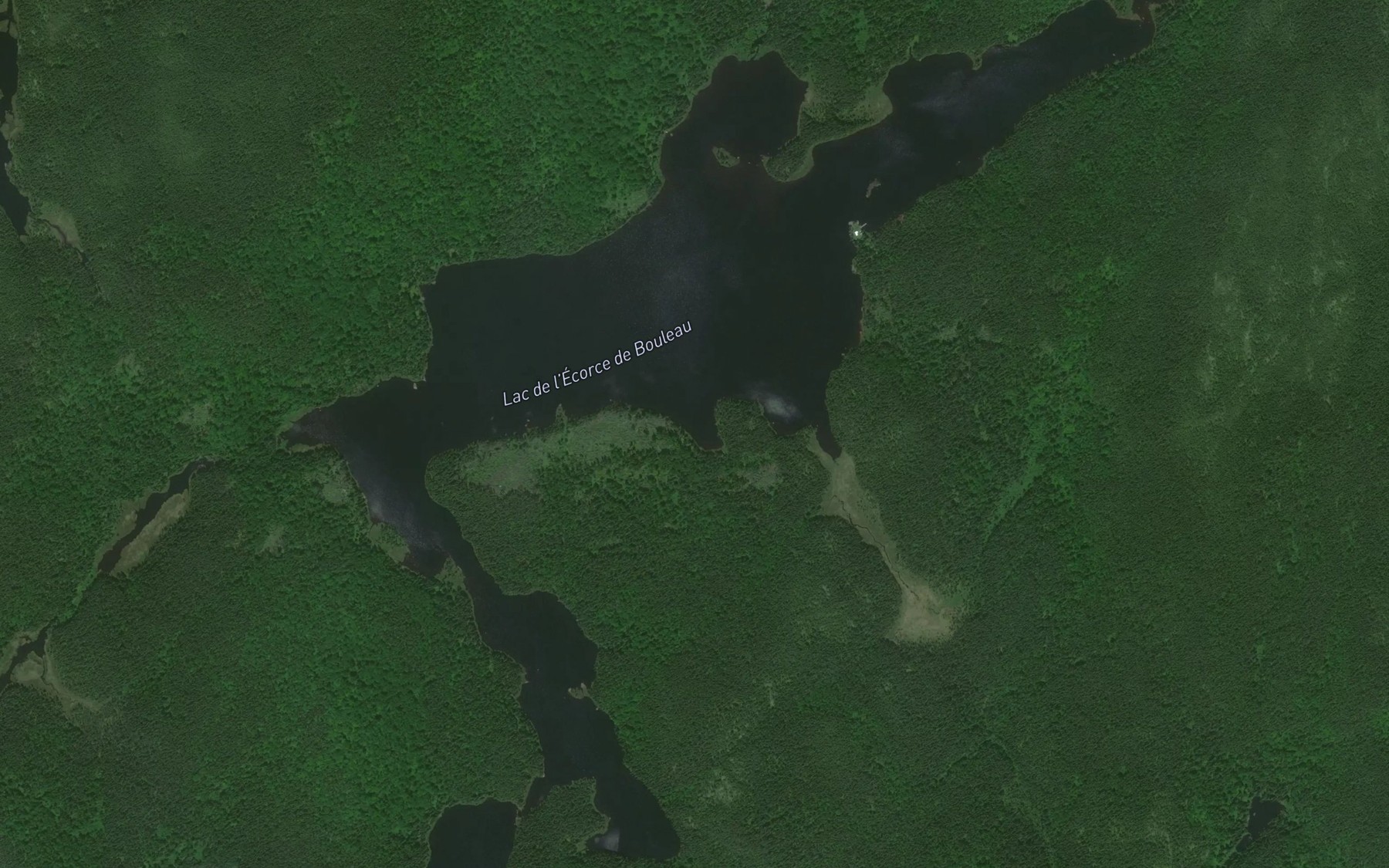 Satellite map of the Lac de l'Ecorce de Bouleau