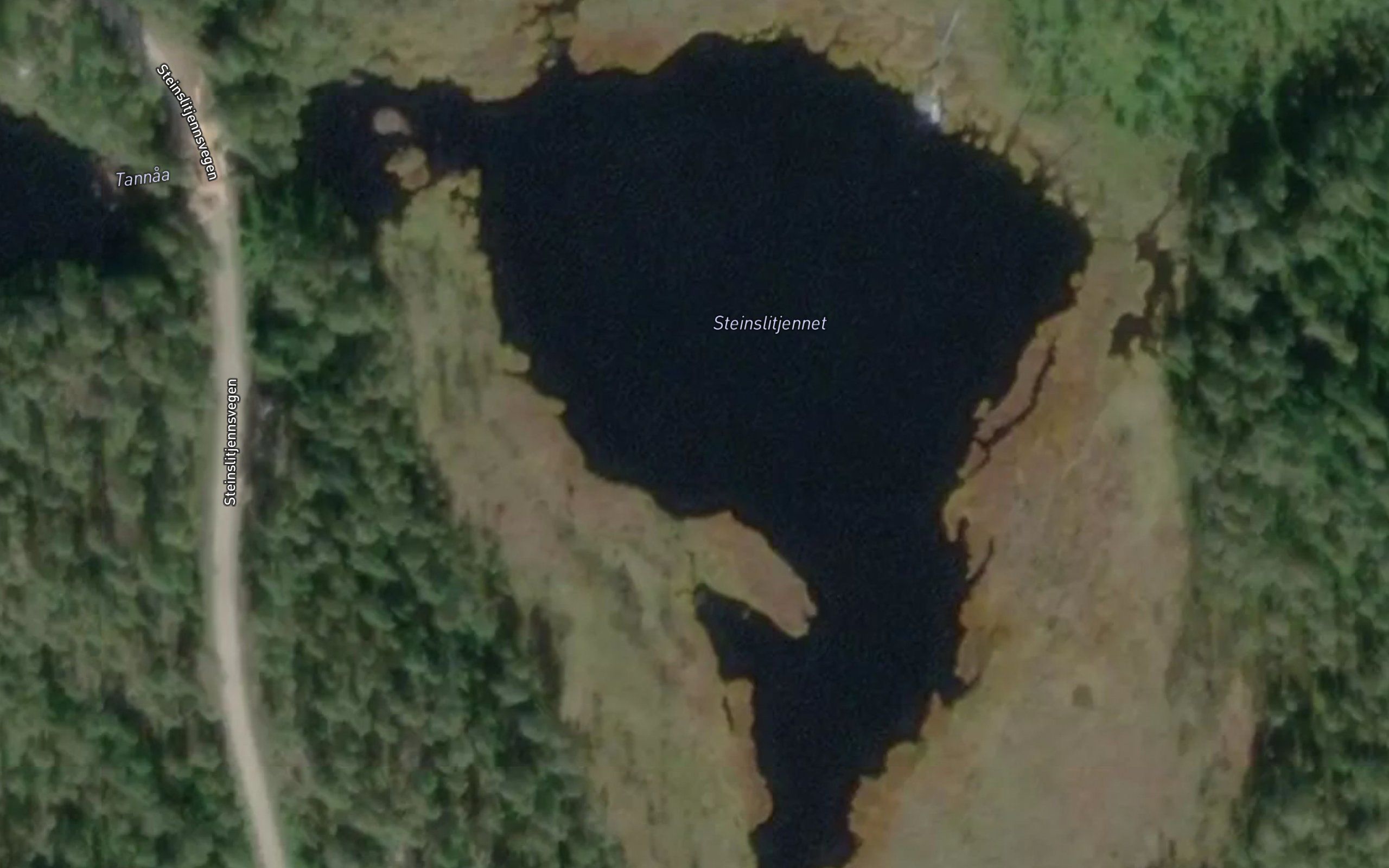 Steinslitjernet