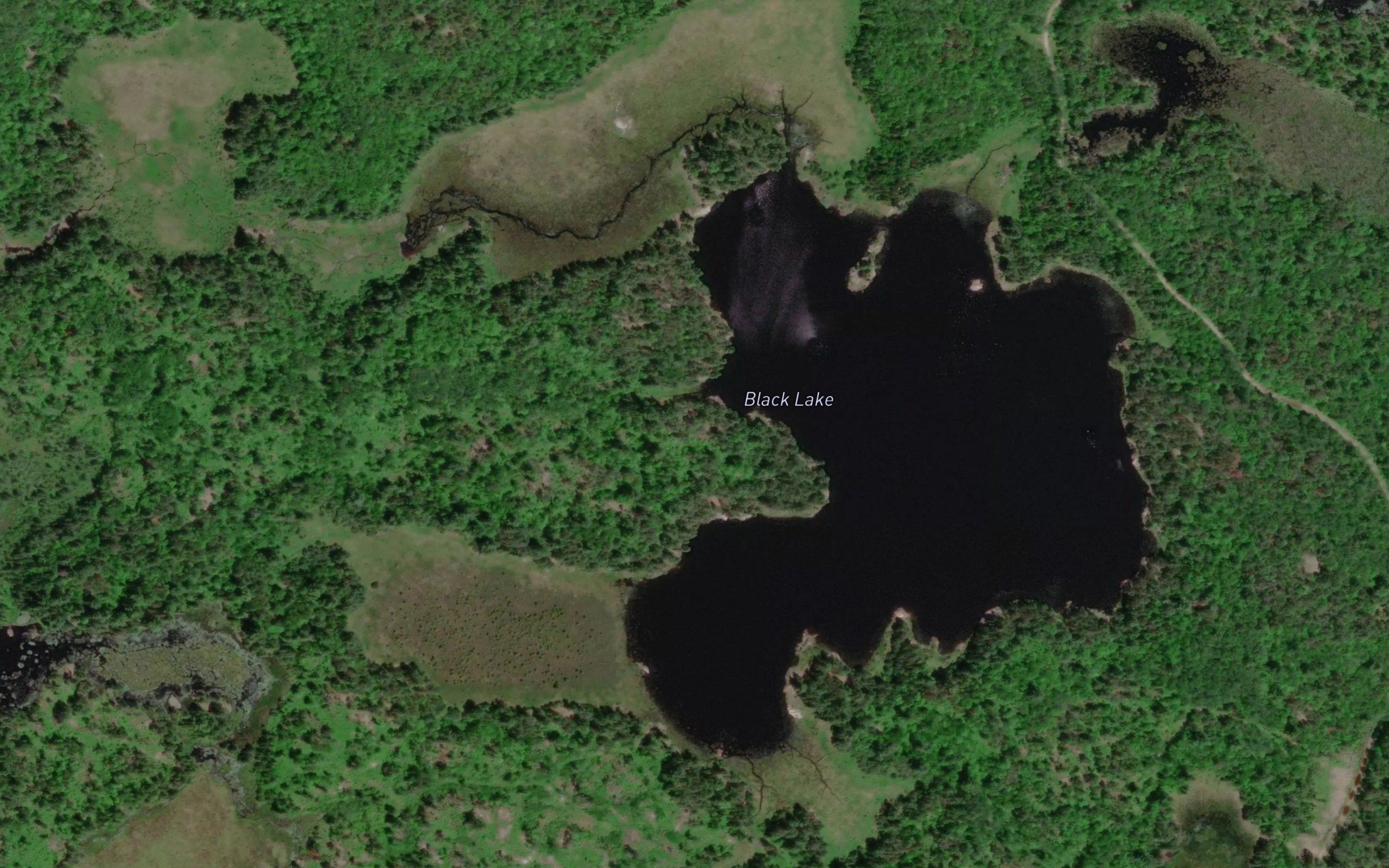 Black Lake