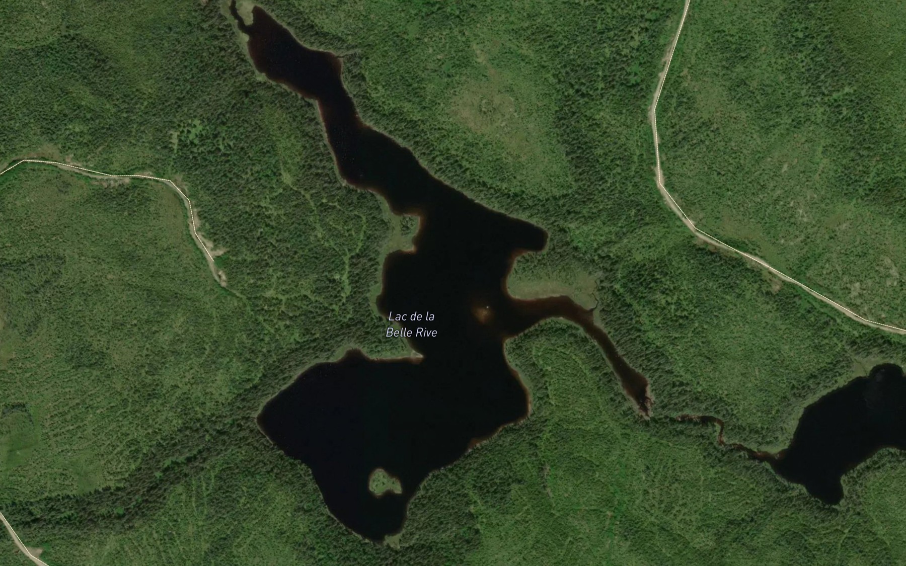 Satellite map of the Lac de la Belle Rive