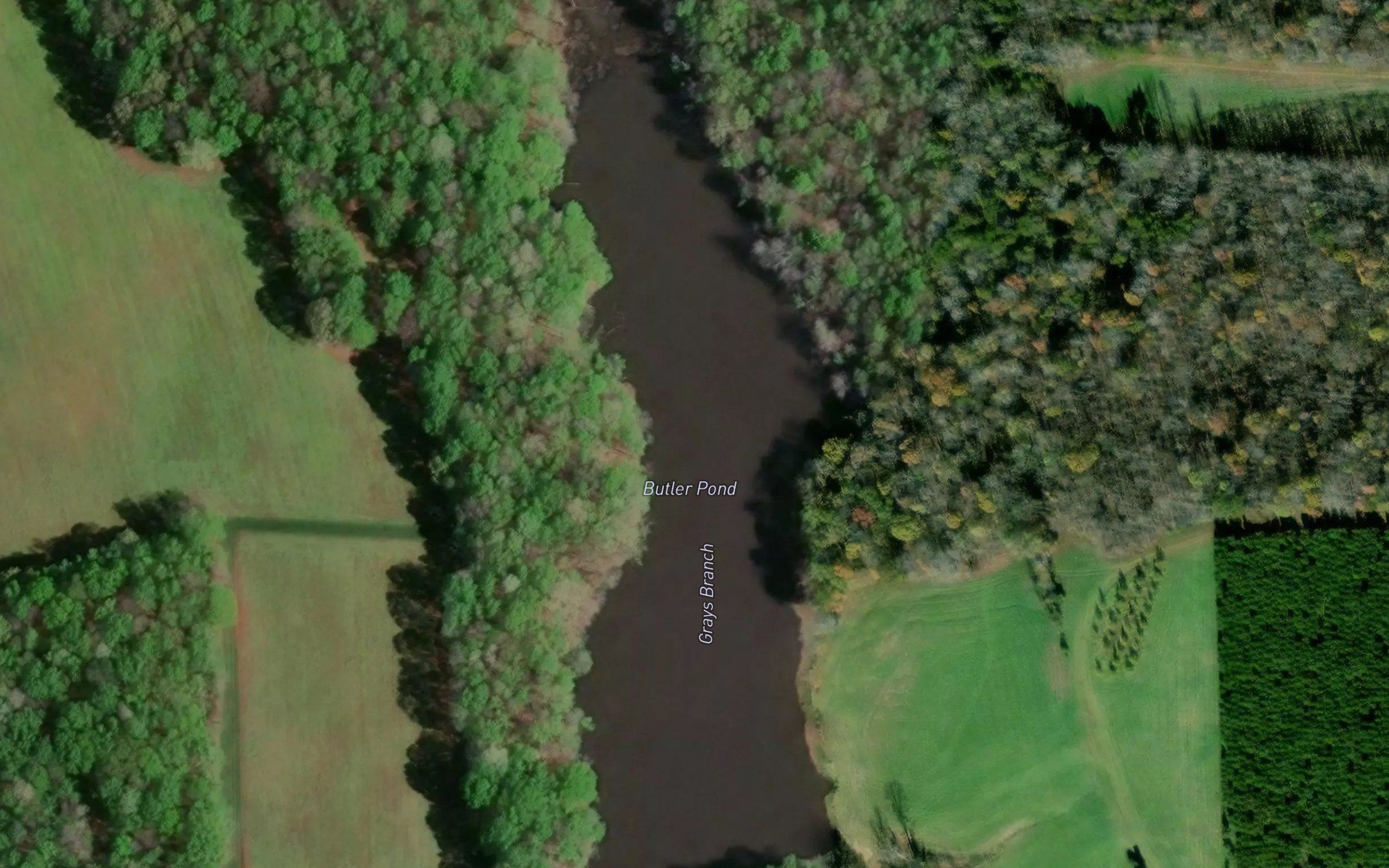 Butler Pond
