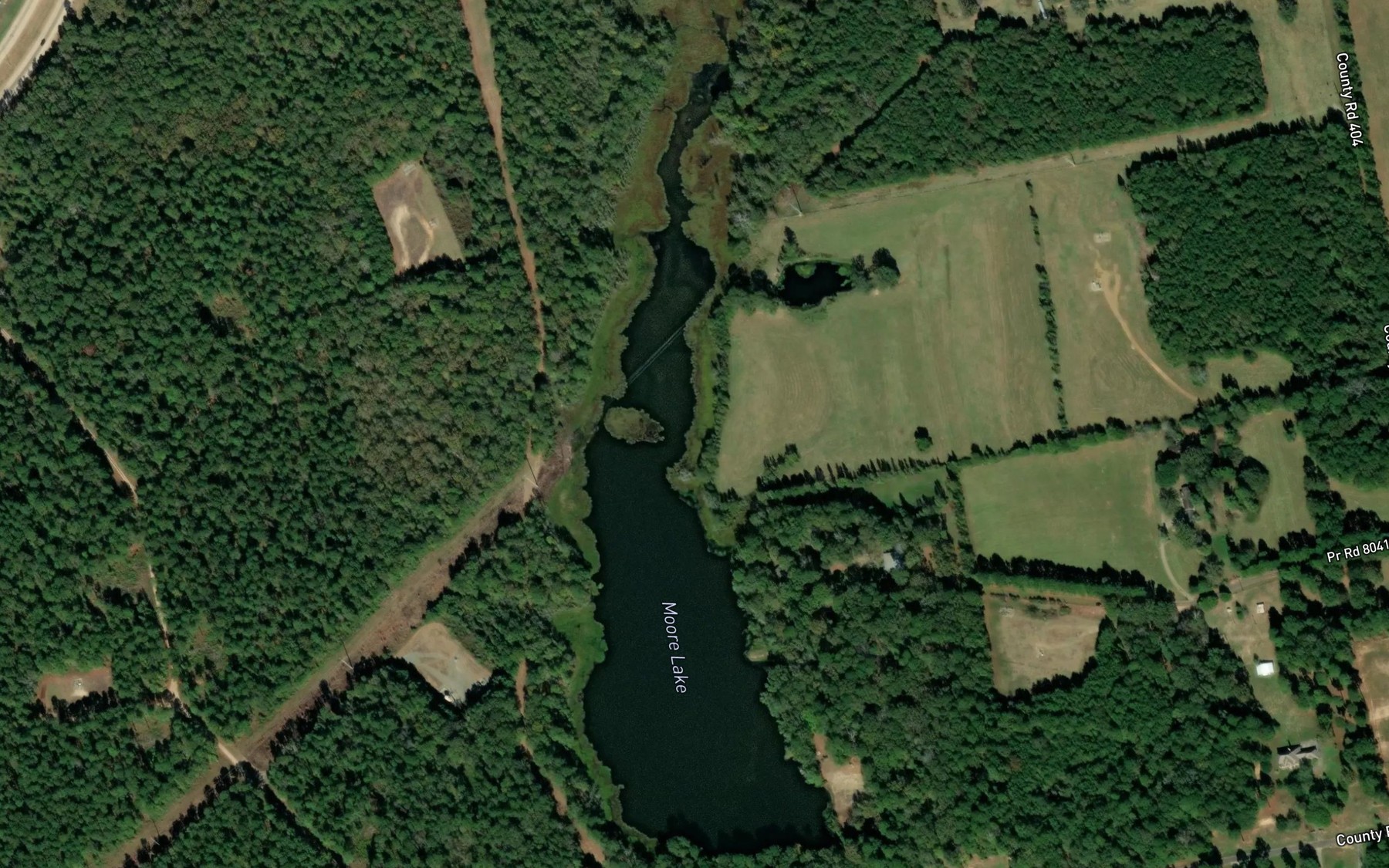Satellite map of the Moore Lake