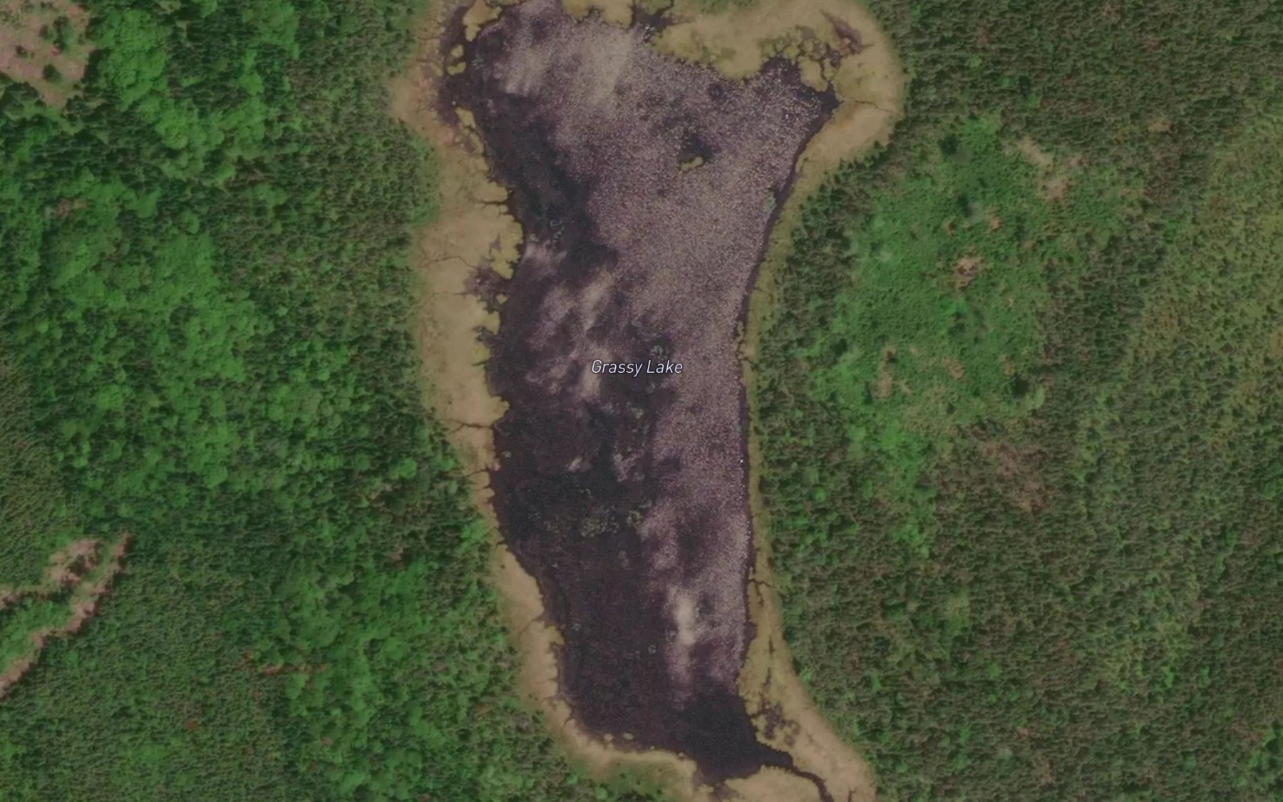 Satellite map of the Grassy Lake